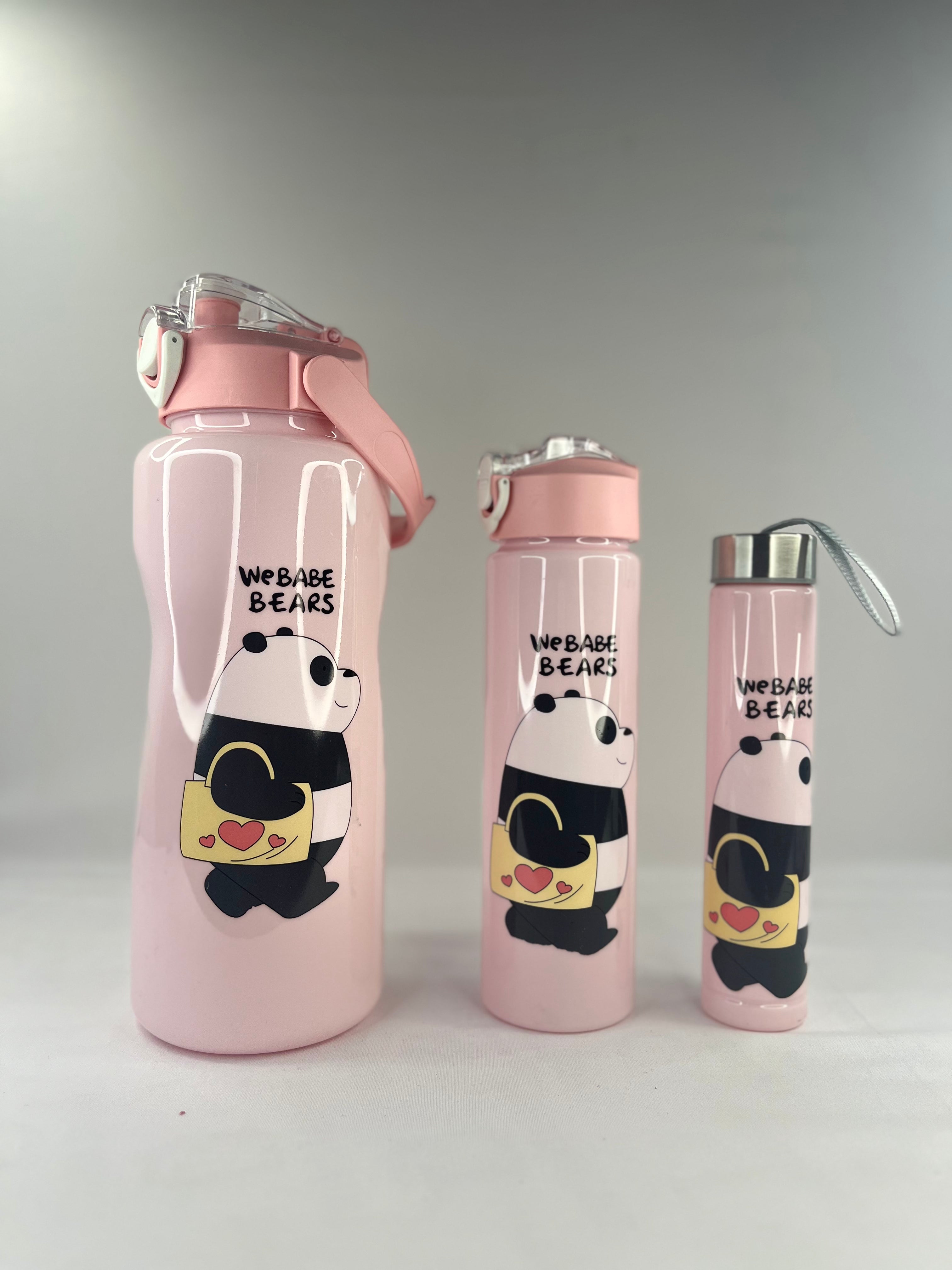 3 in 1 Water Bottle