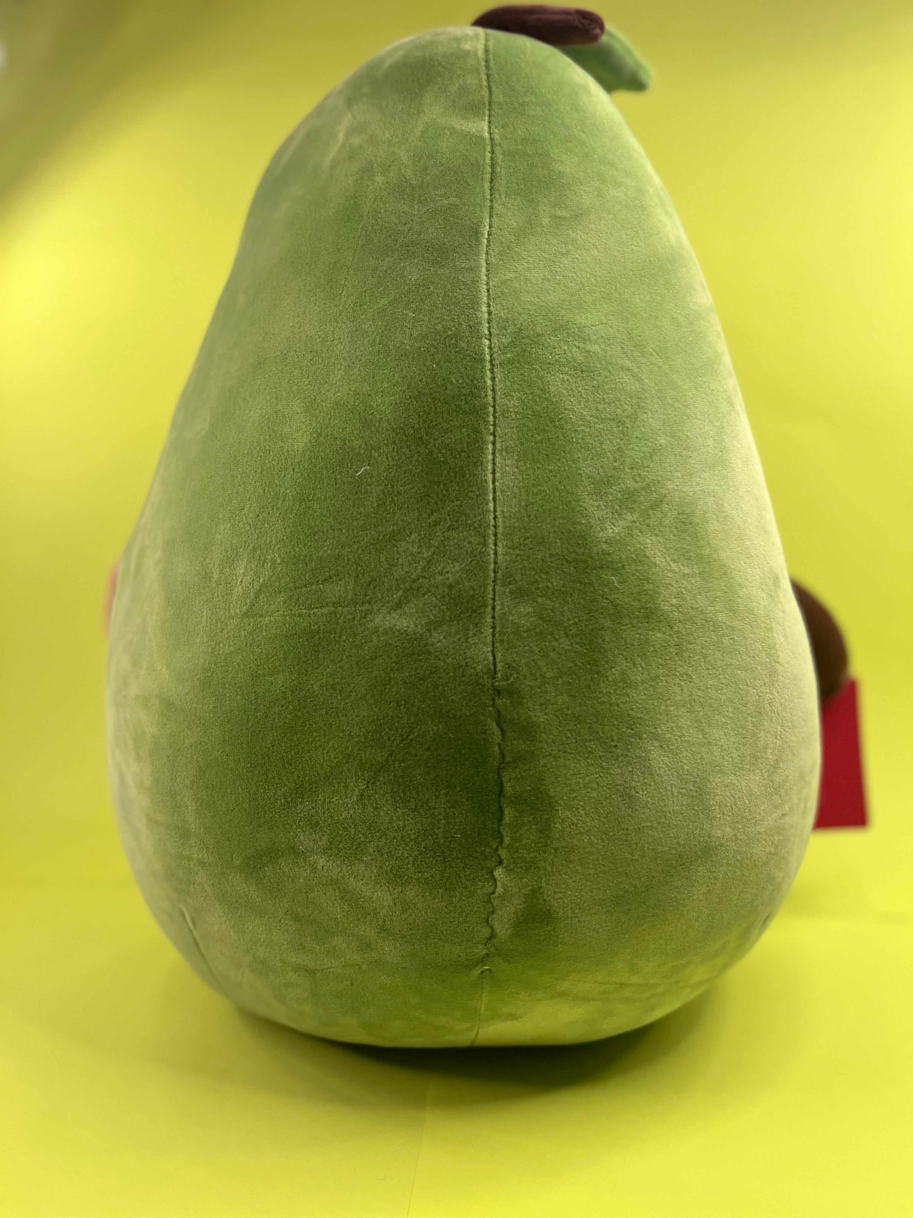 AVOCADO-PLW Teddy