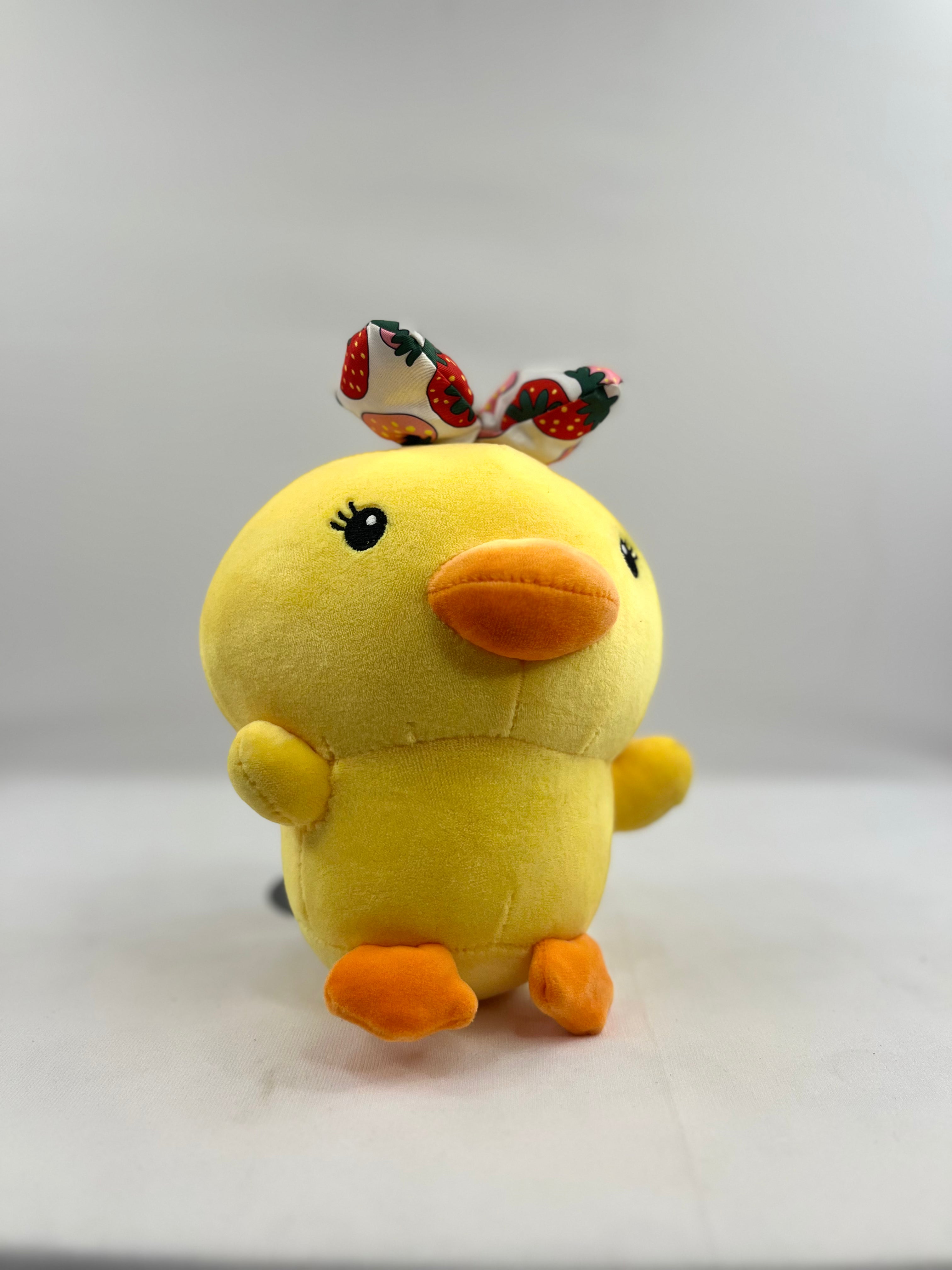 Beauty duck Teddy