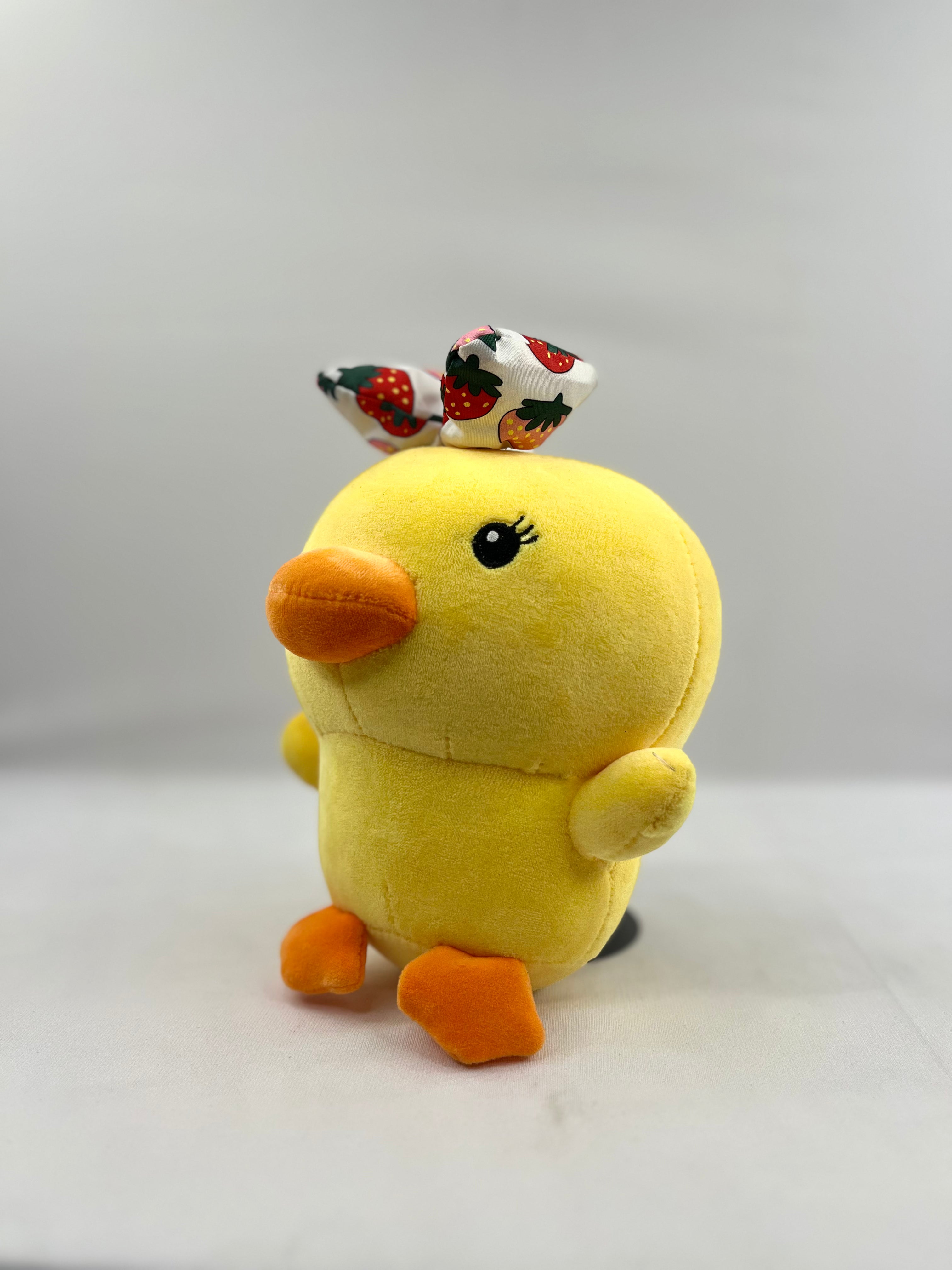 Beauty duck Teddy