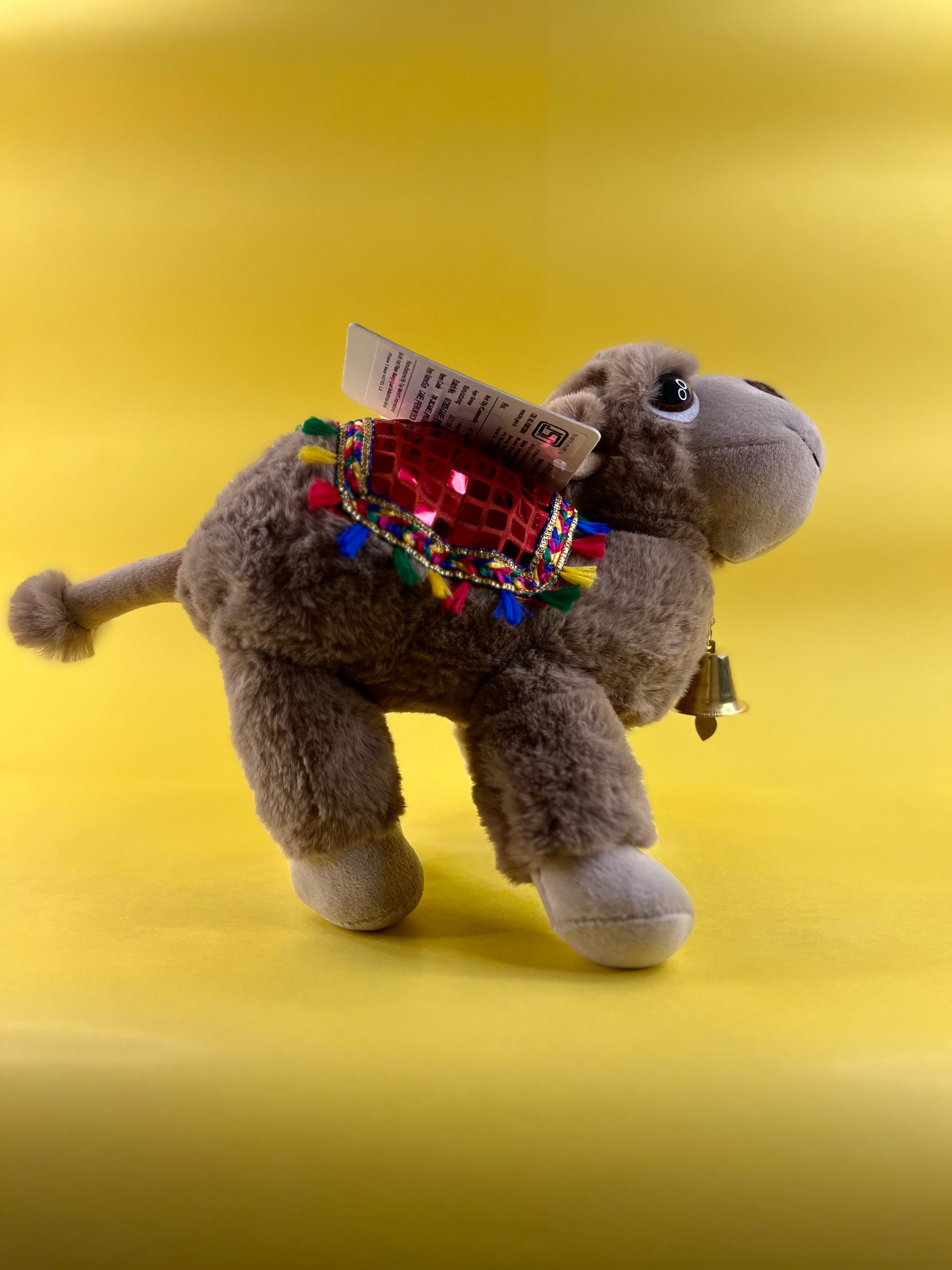 CAMEL (PREMIUM) Teddy