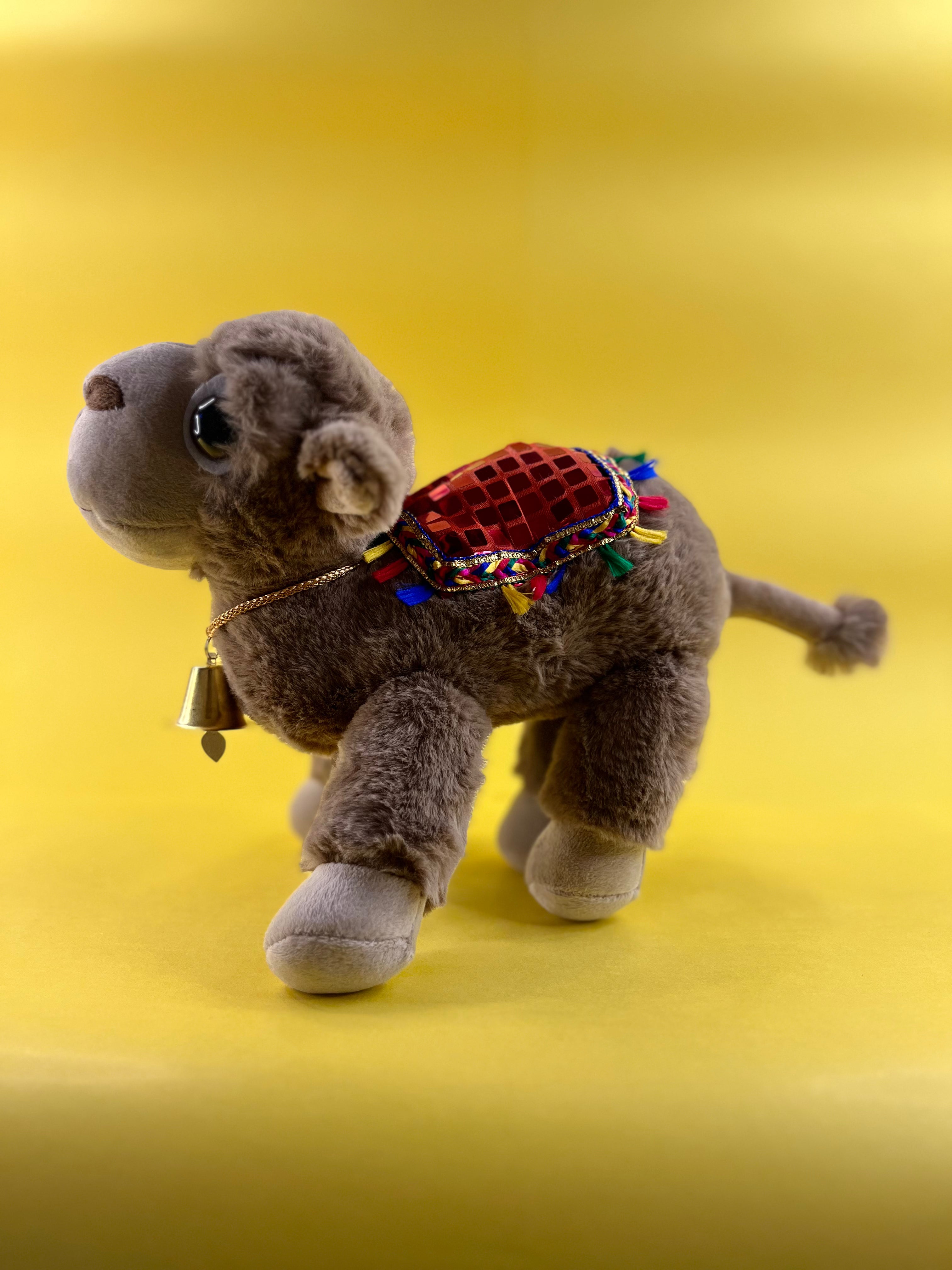 CAMEL (PREMIUM) Teddy
