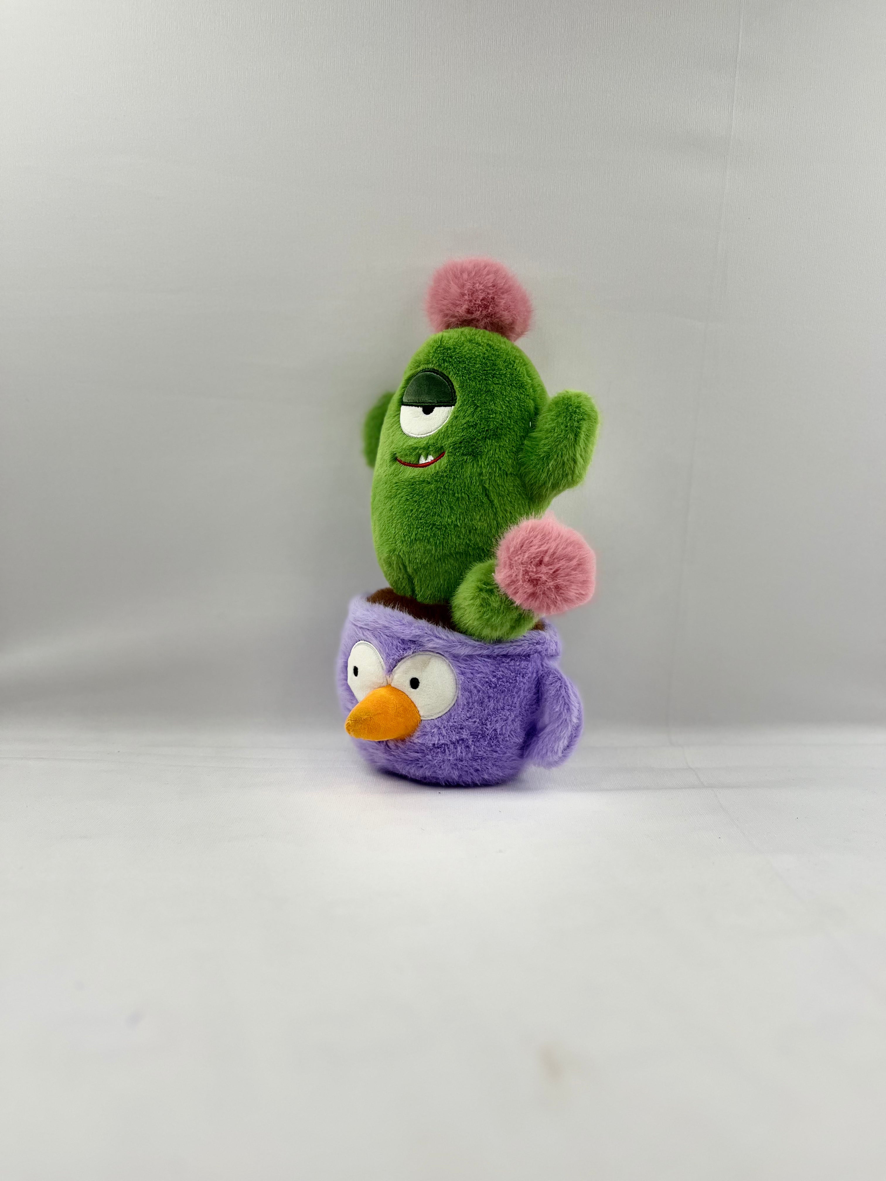 Cactus plant teddy Teddy