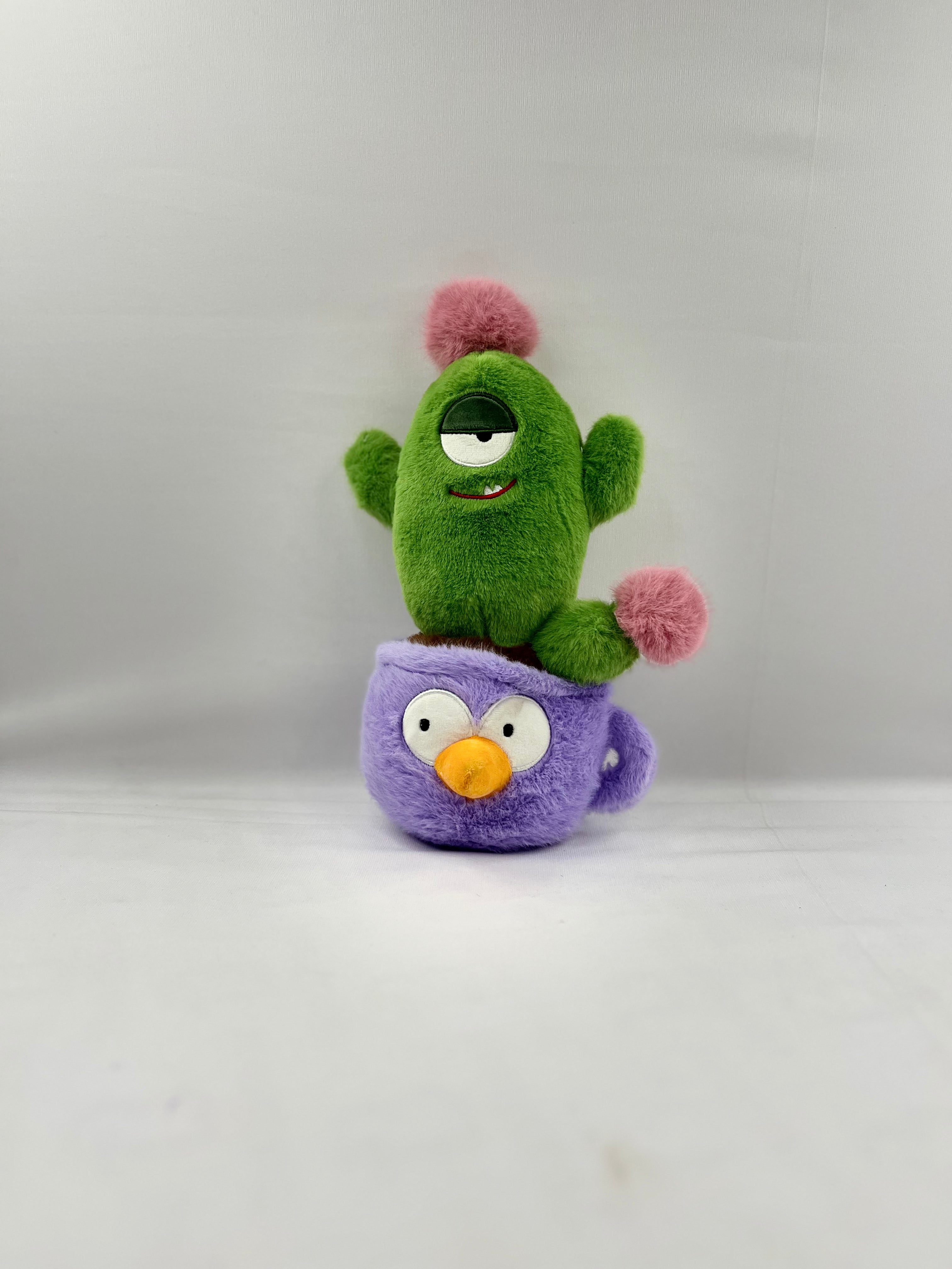Cactus plant teddy Teddy