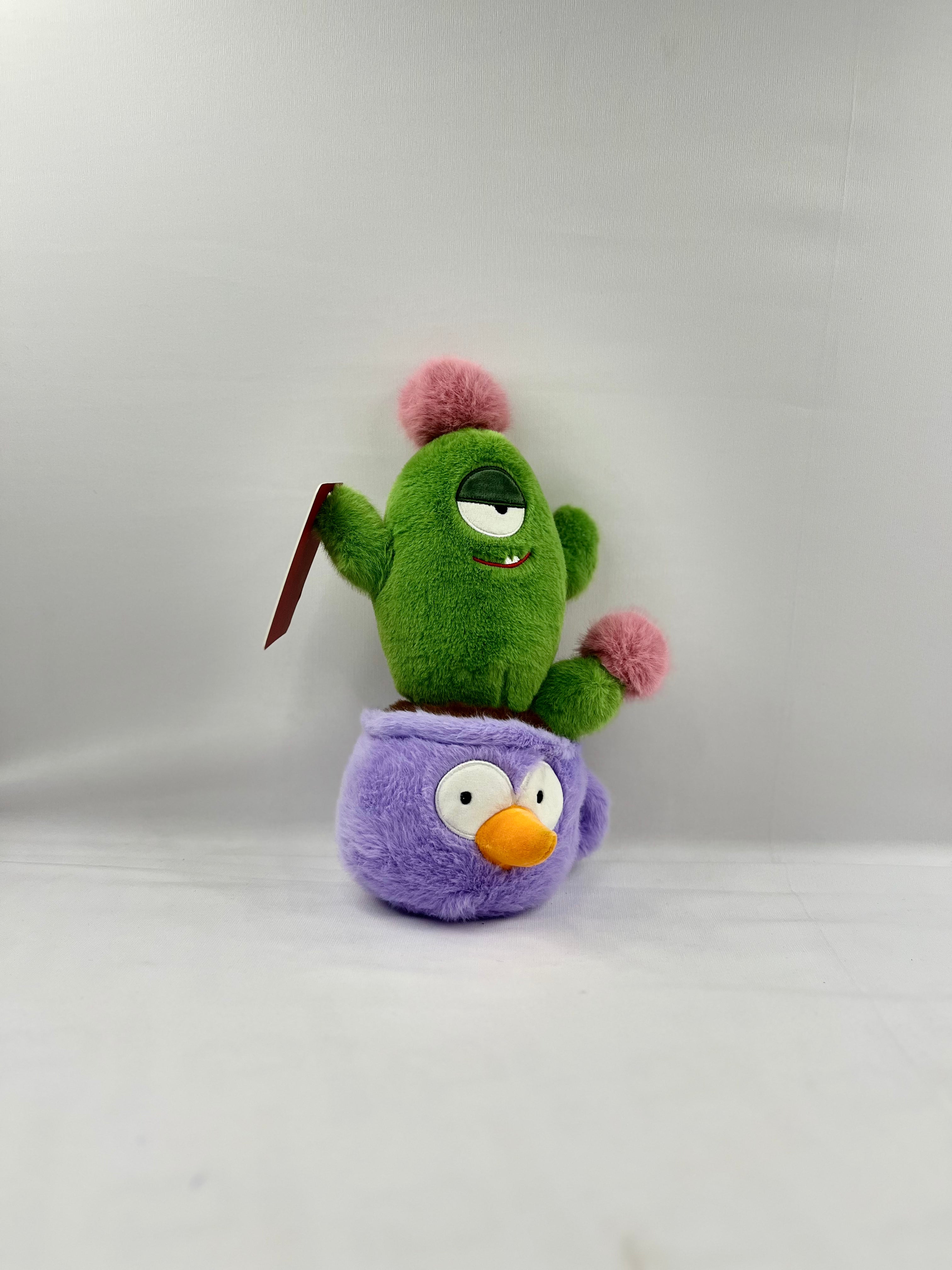 Cactus plant teddy Teddy