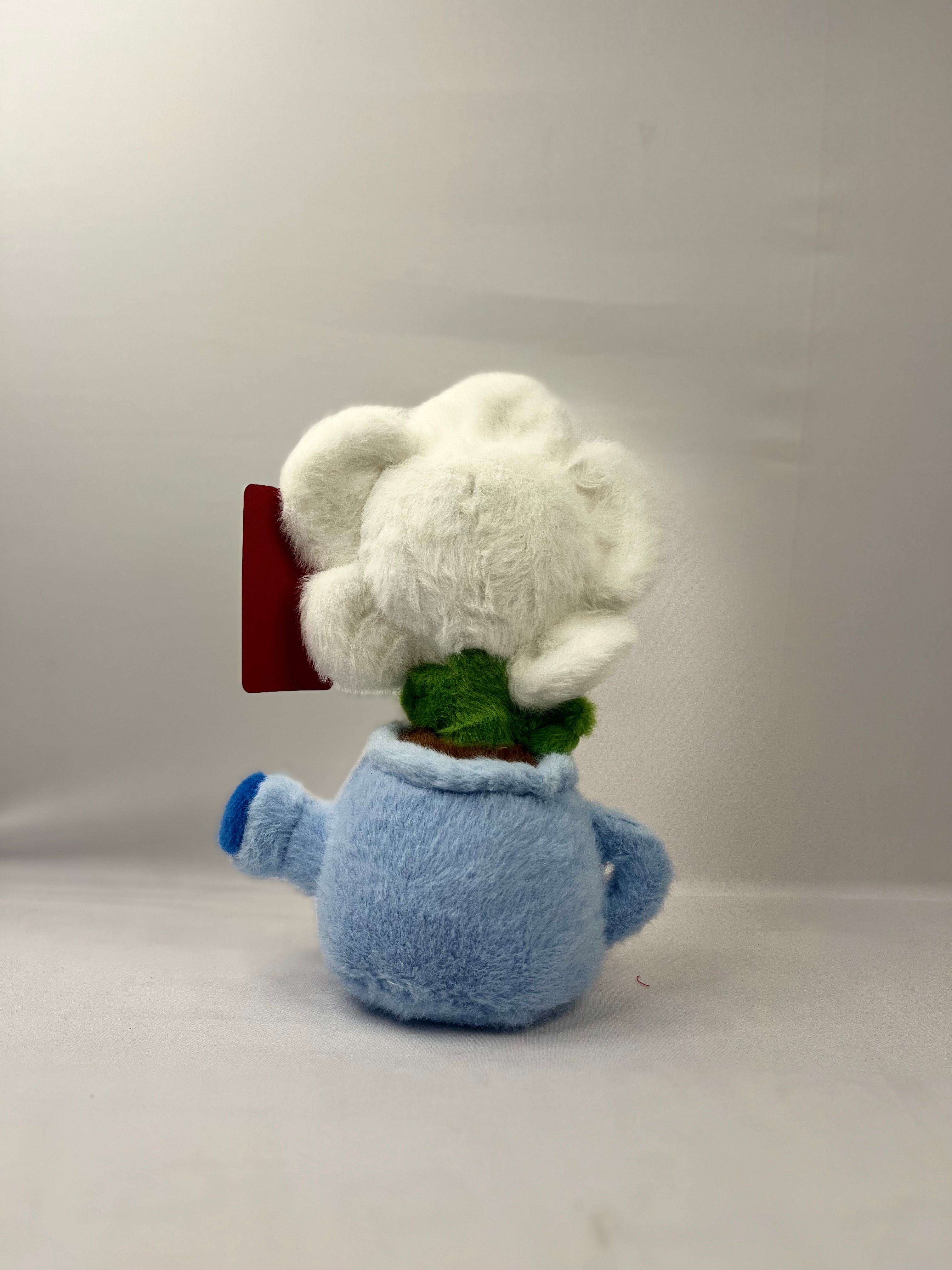 Flower plant teddy Teddy