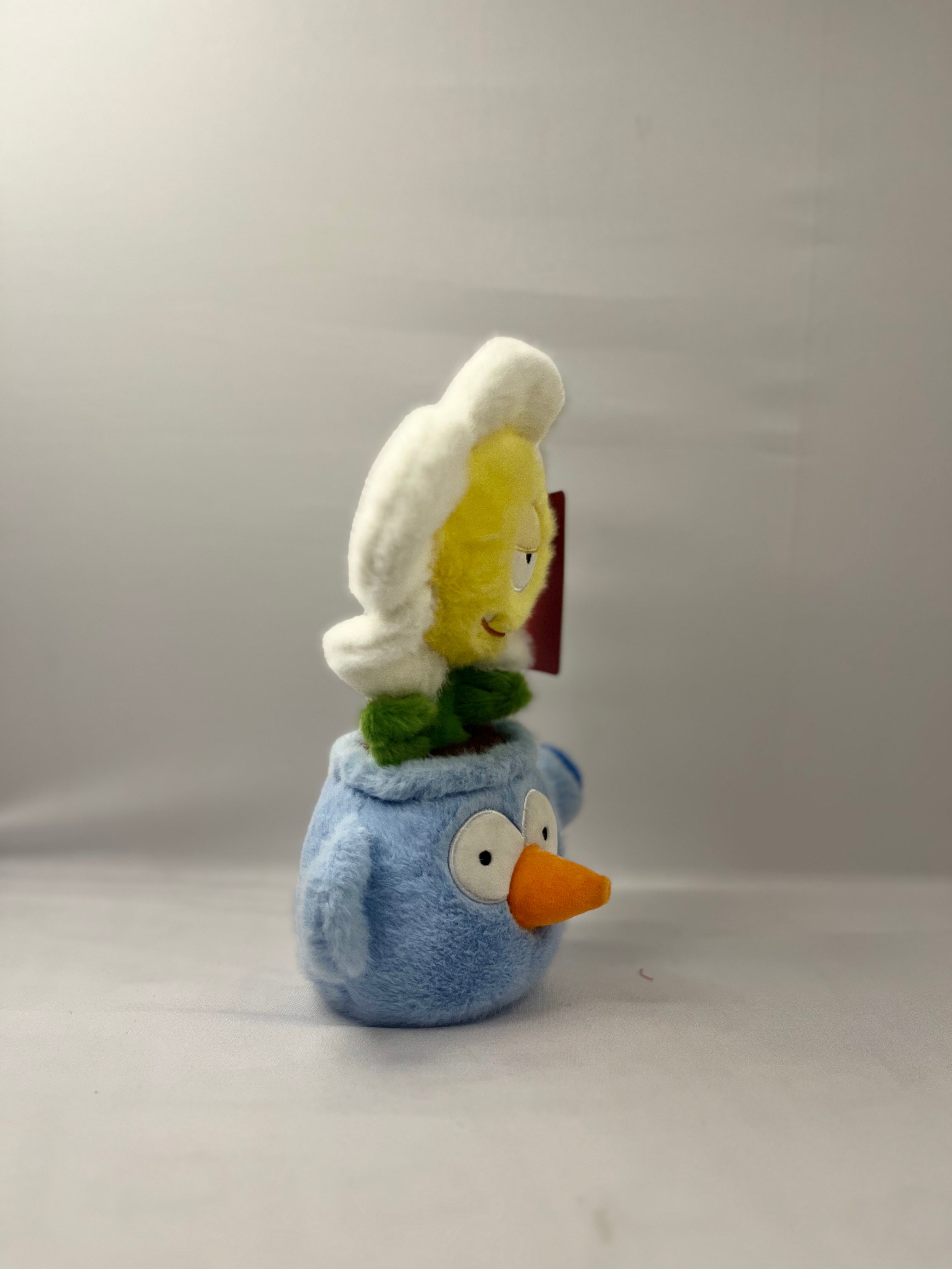 Flower plant teddy Teddy