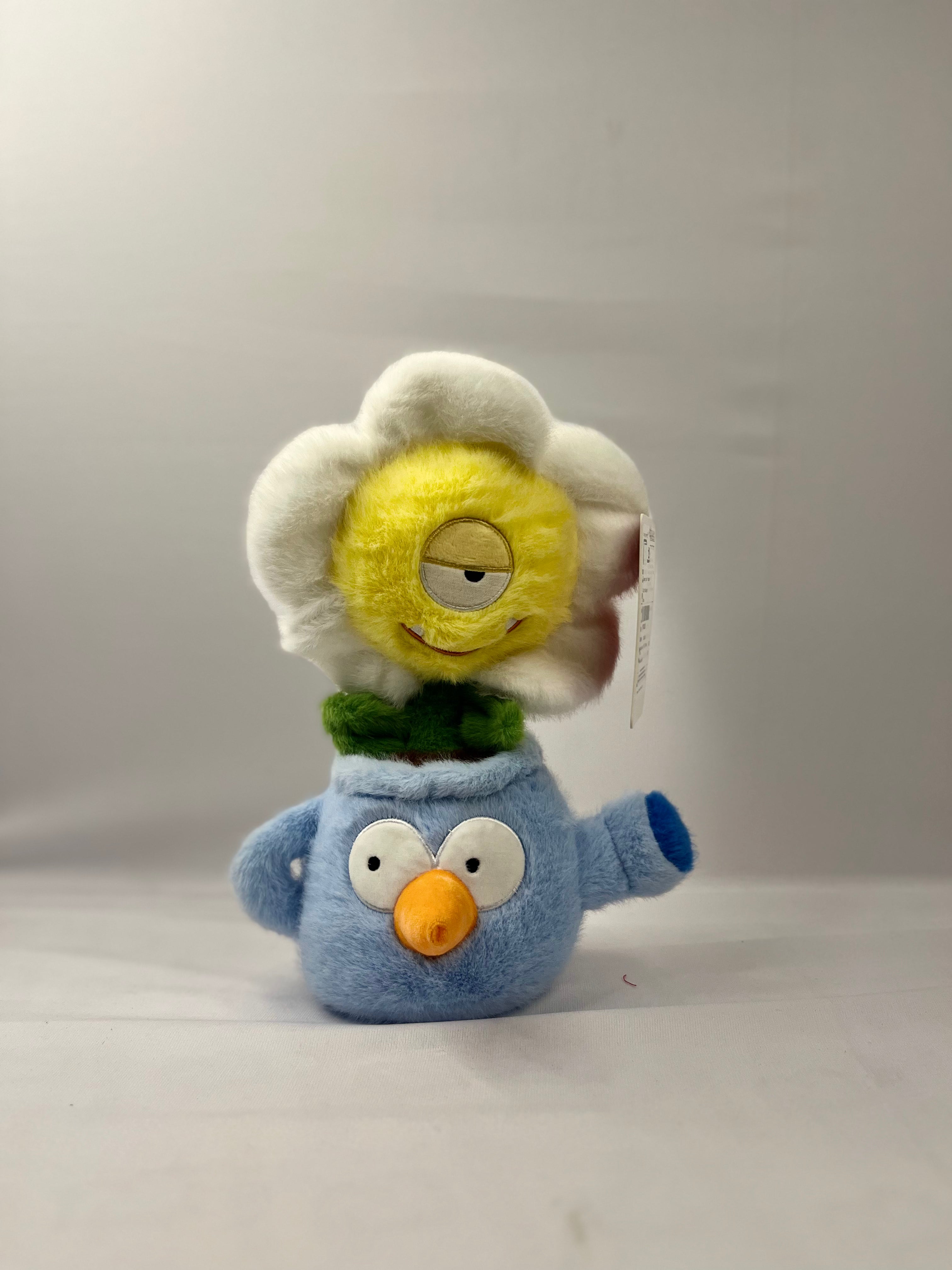 Flower plant teddy Teddy