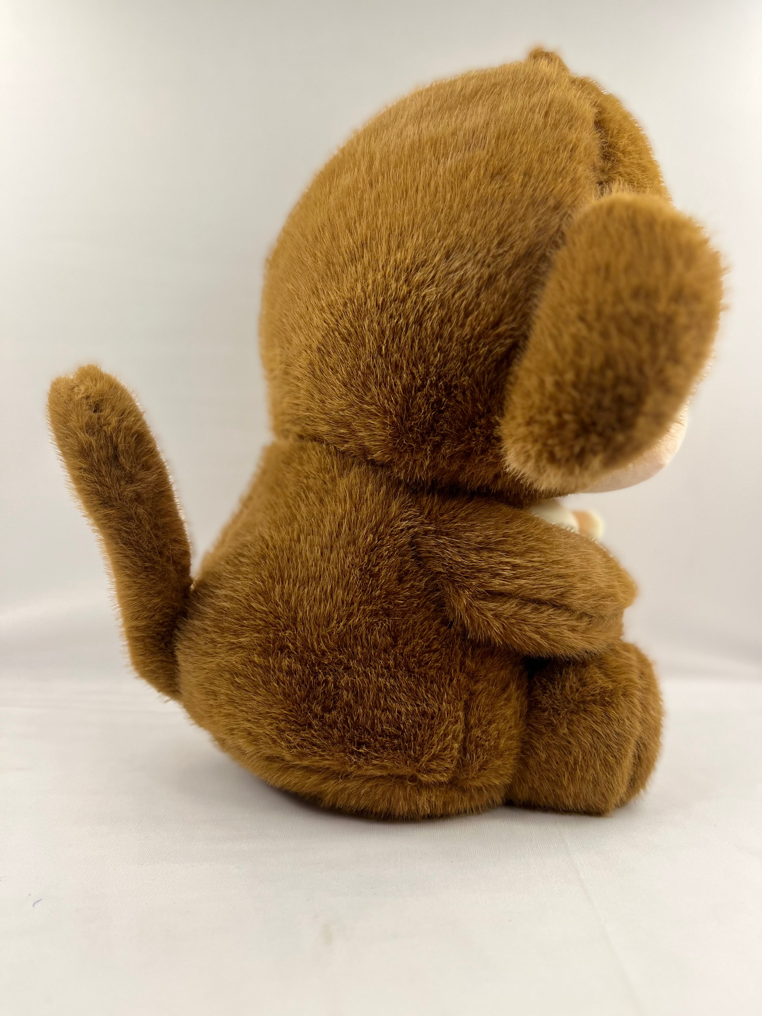 Hungry monkey Teddy