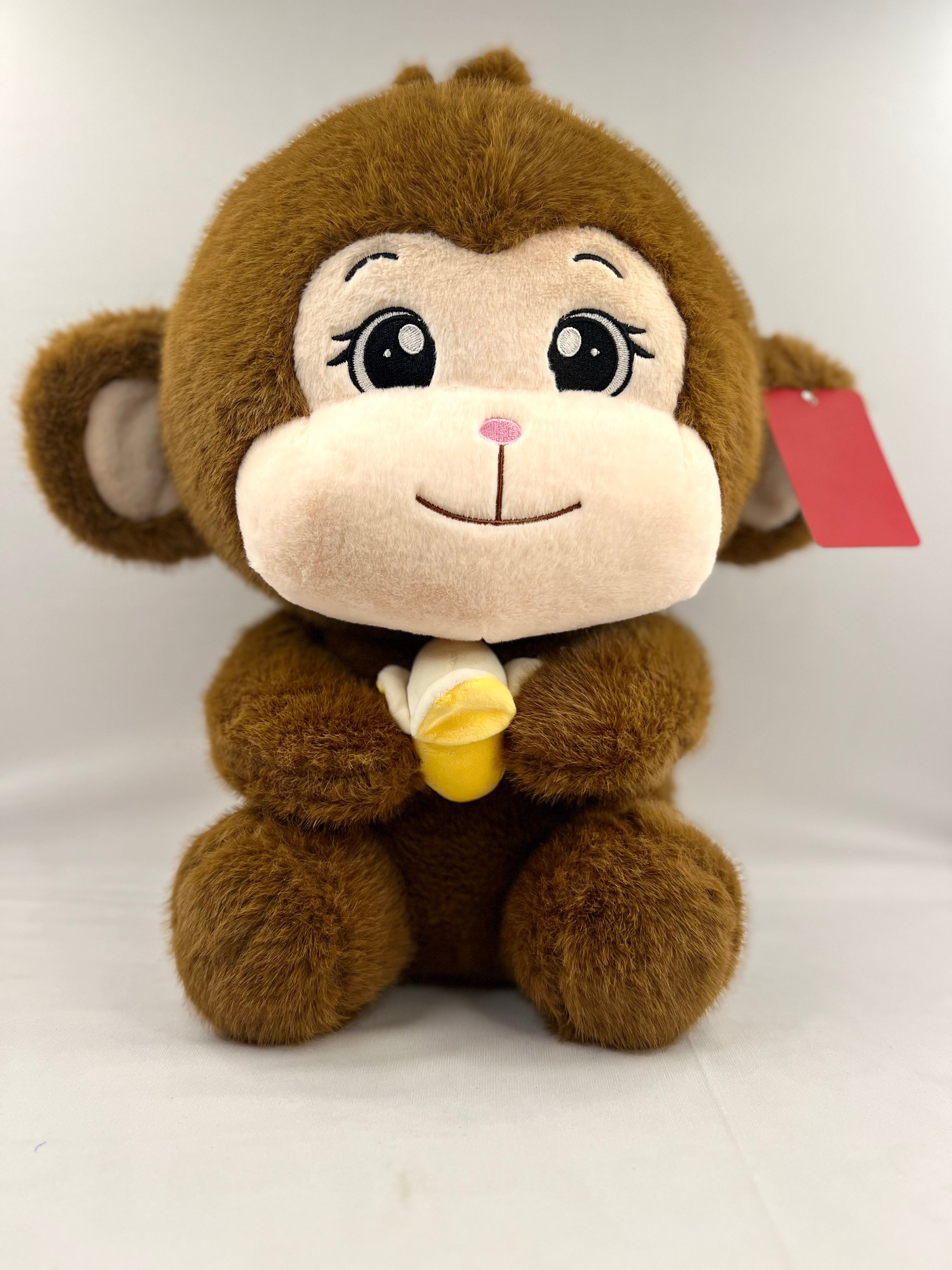 Hungry monkey Teddy