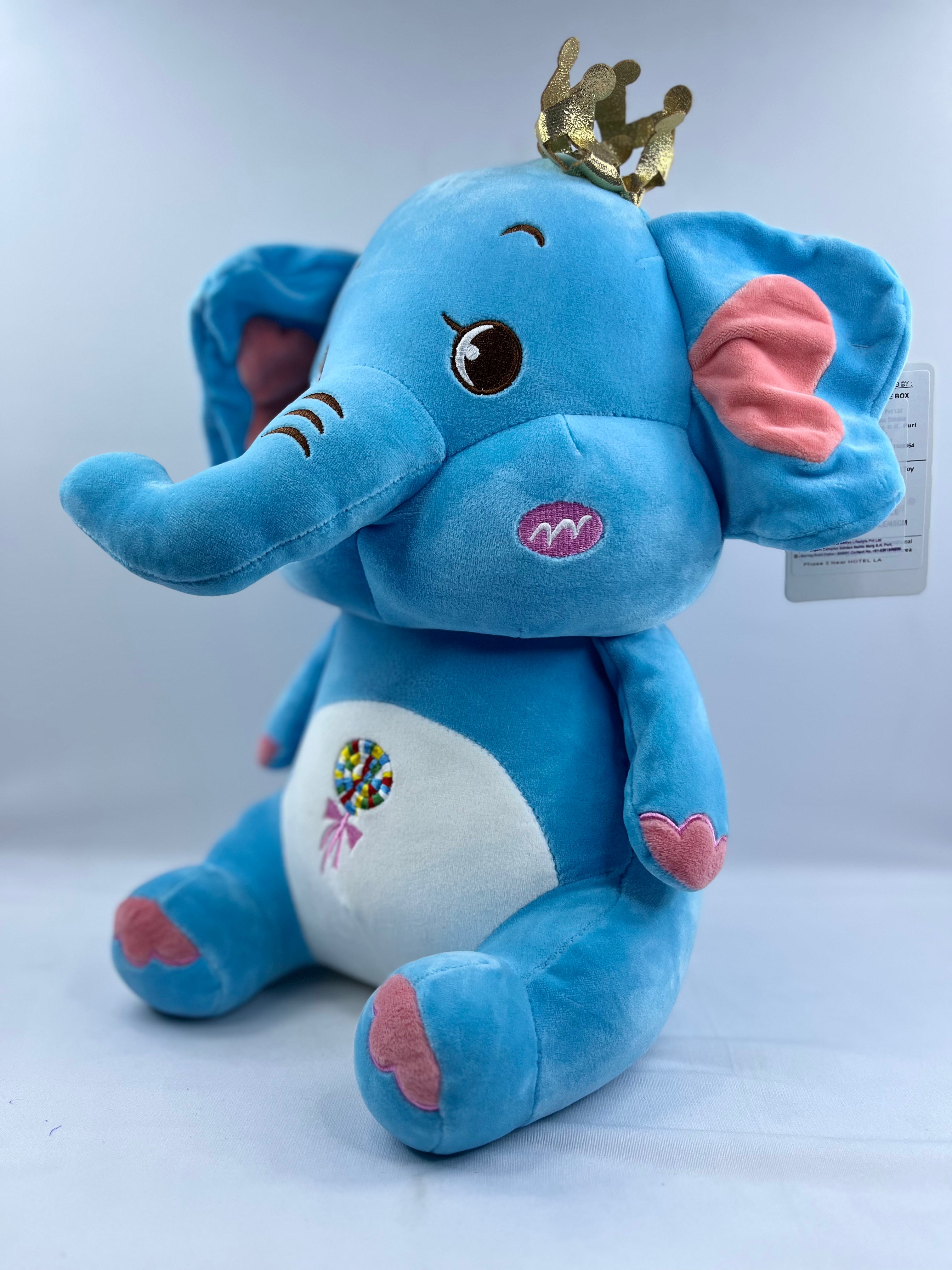 King elephant Teddy