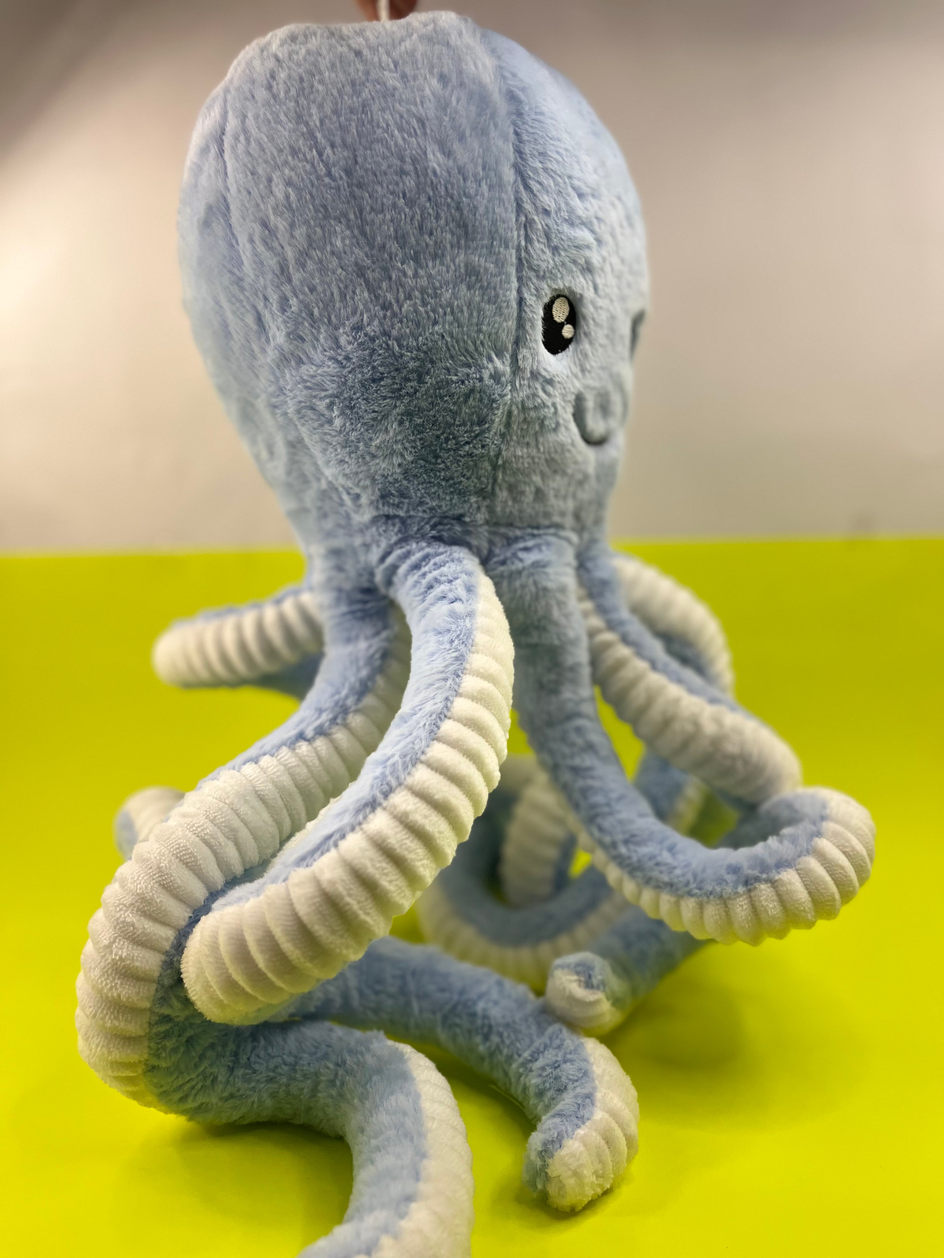 Octovia teddy