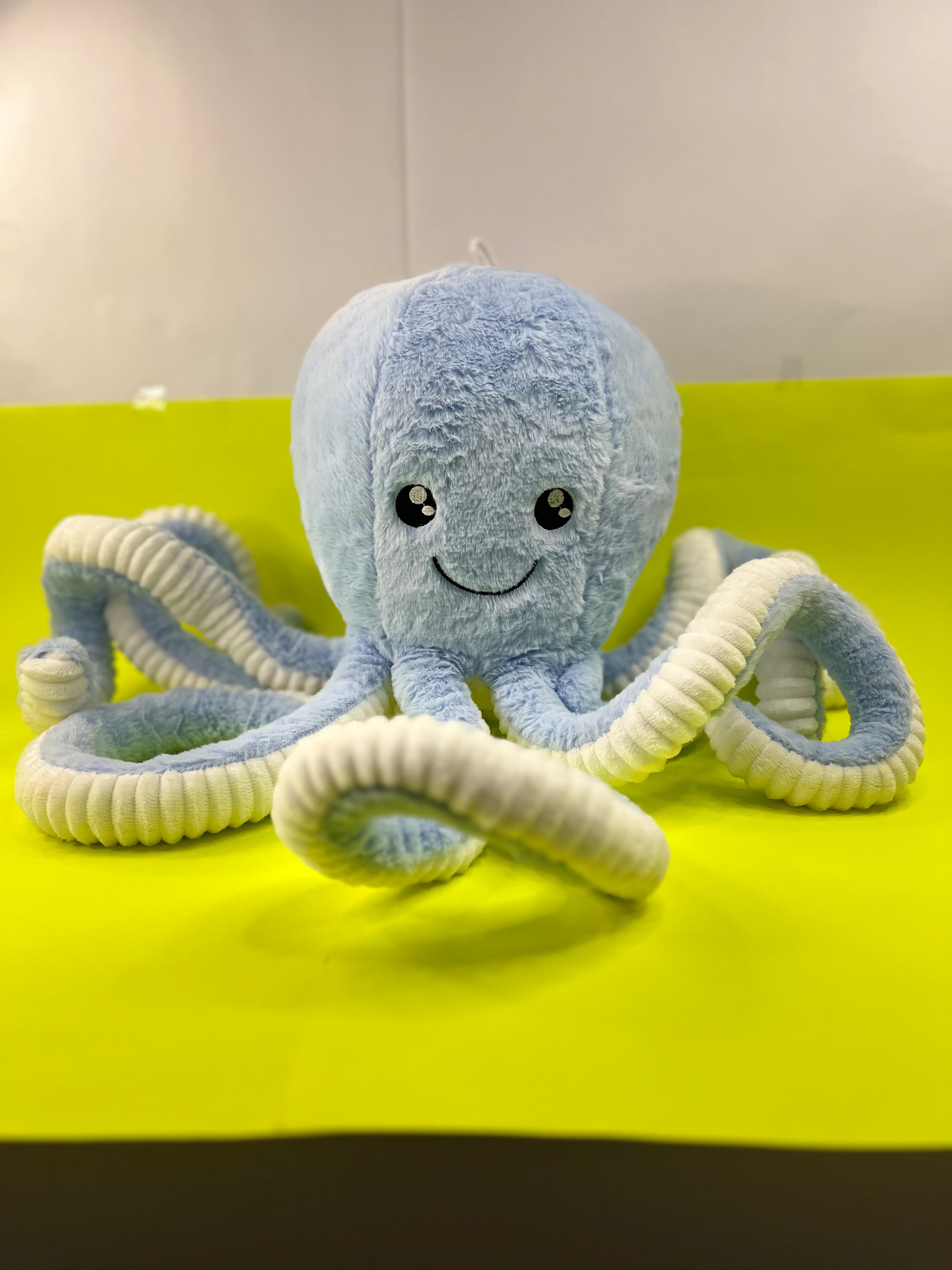 Octovia teddy