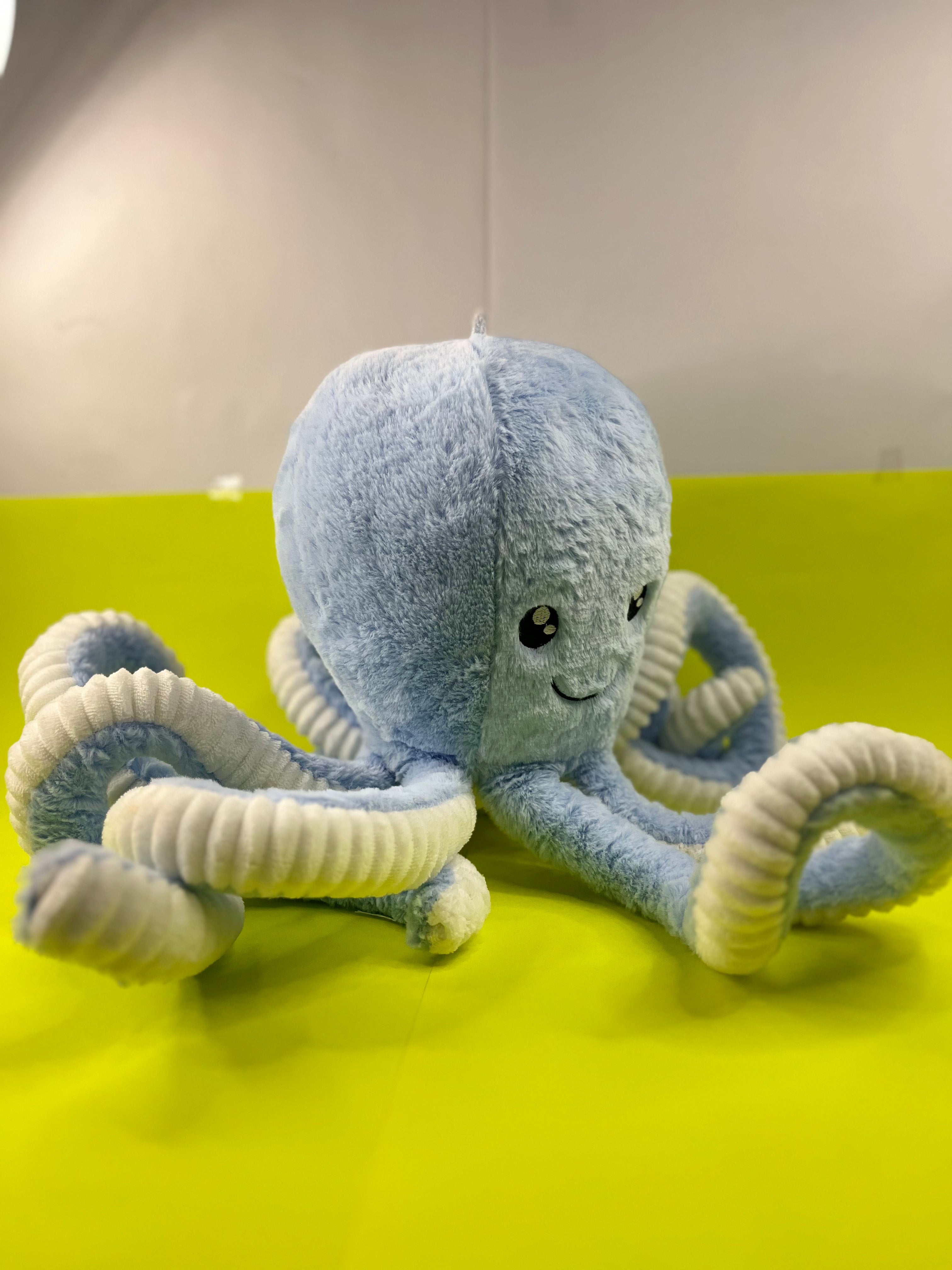 Octovia teddy