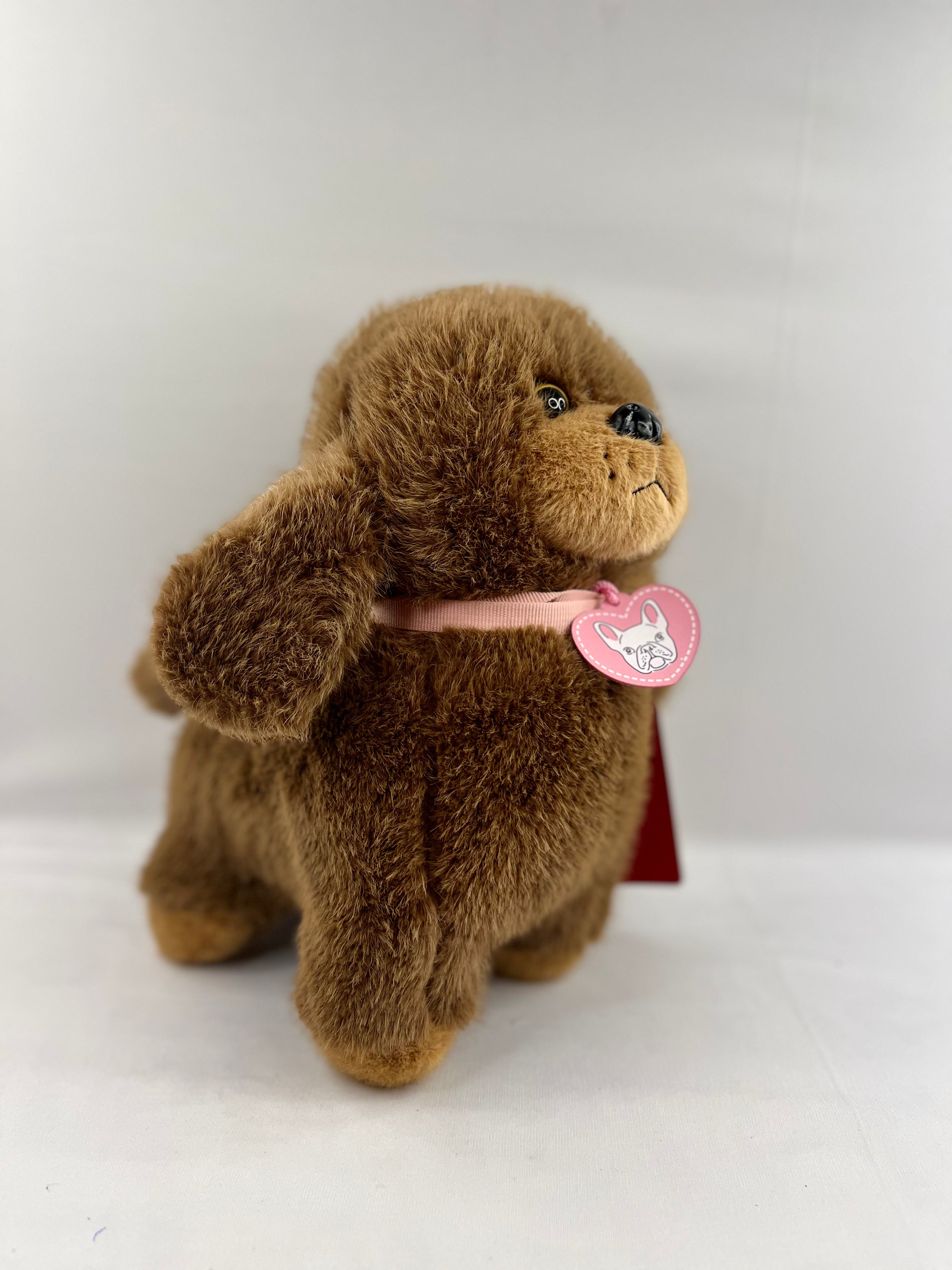 POODLE DOG BIG Teddy