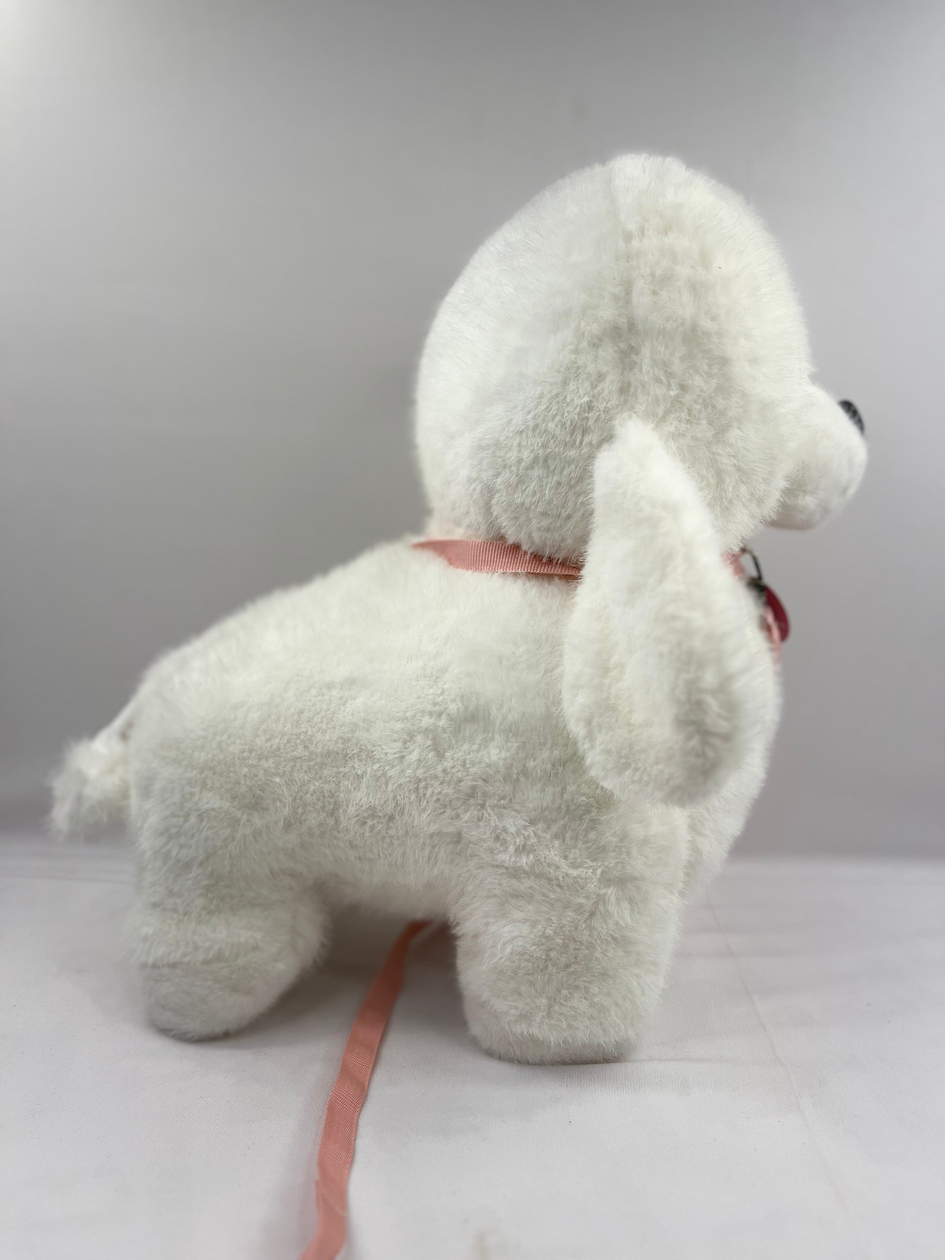 POODLE DOG Teddy