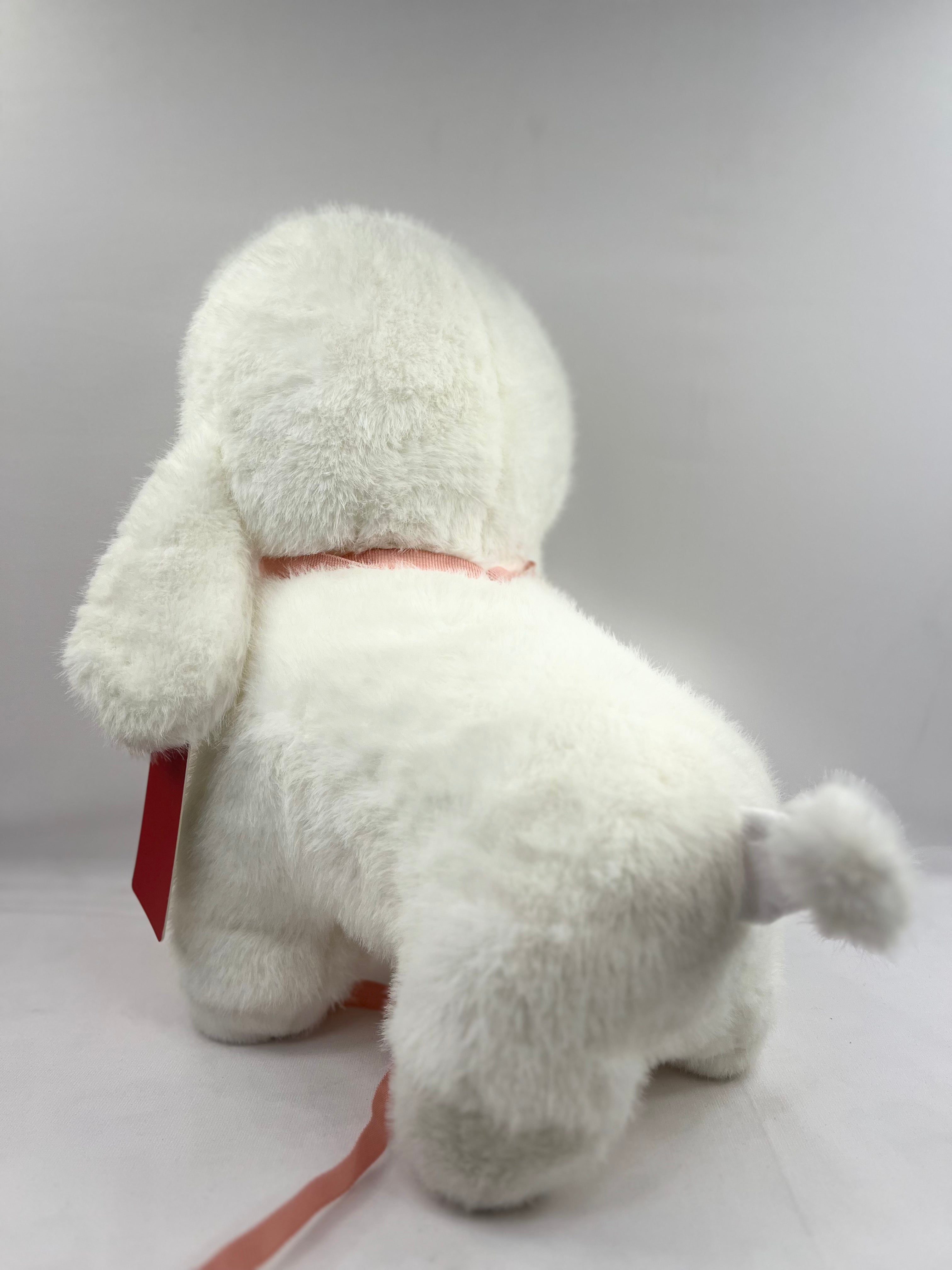 POODLE DOG Teddy