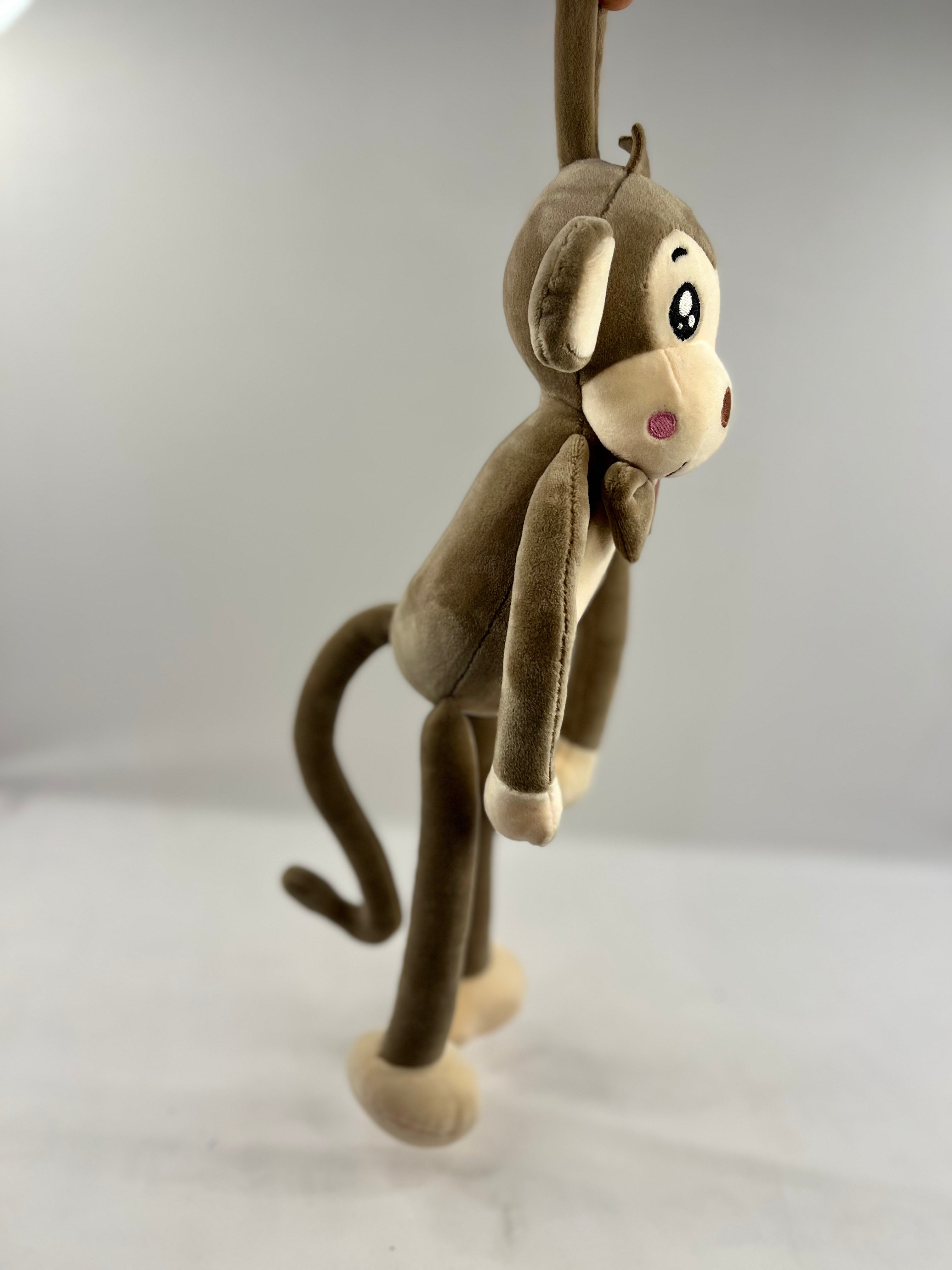 SS smart monkey Teddy