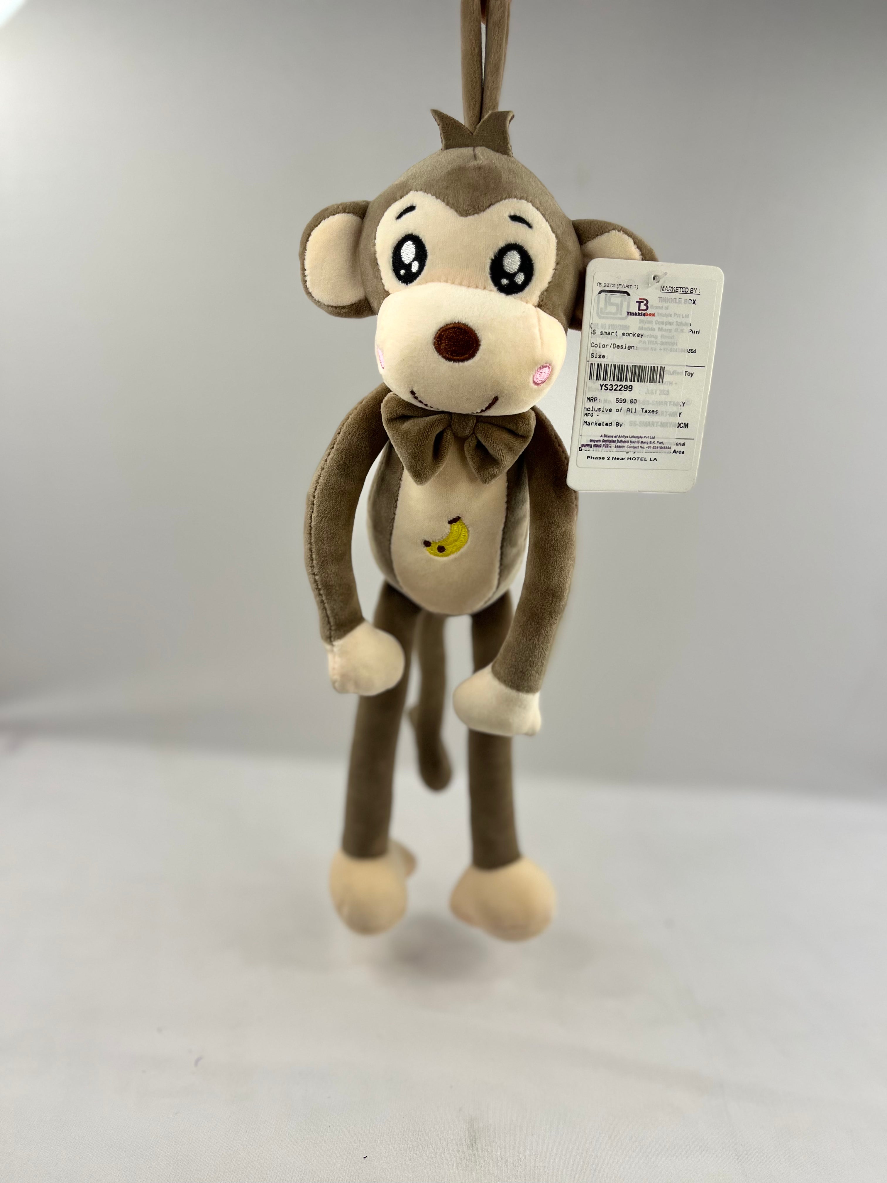 SS smart monkey Teddy