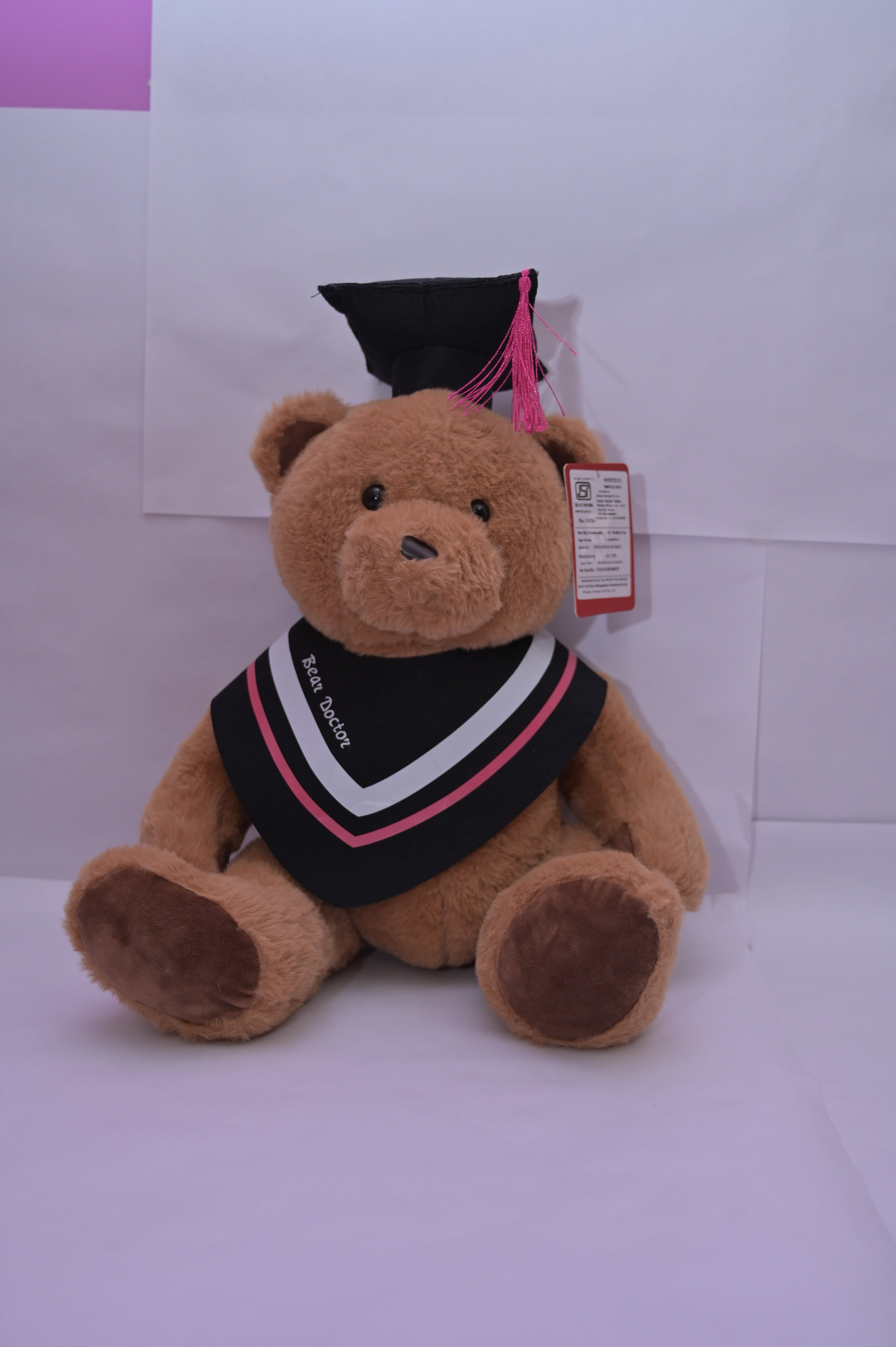 Scholar Bear