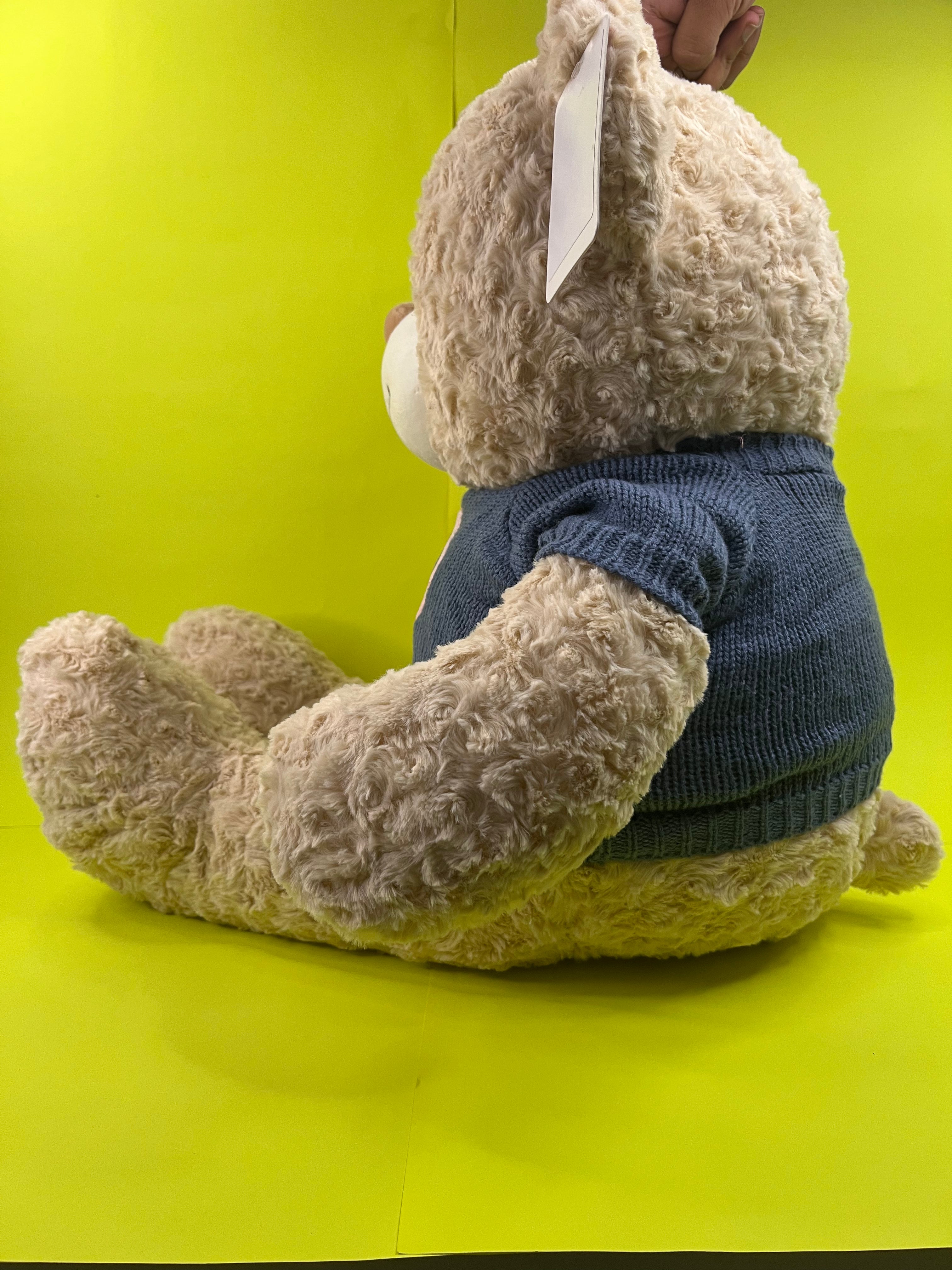 Sweater teddy Teddy