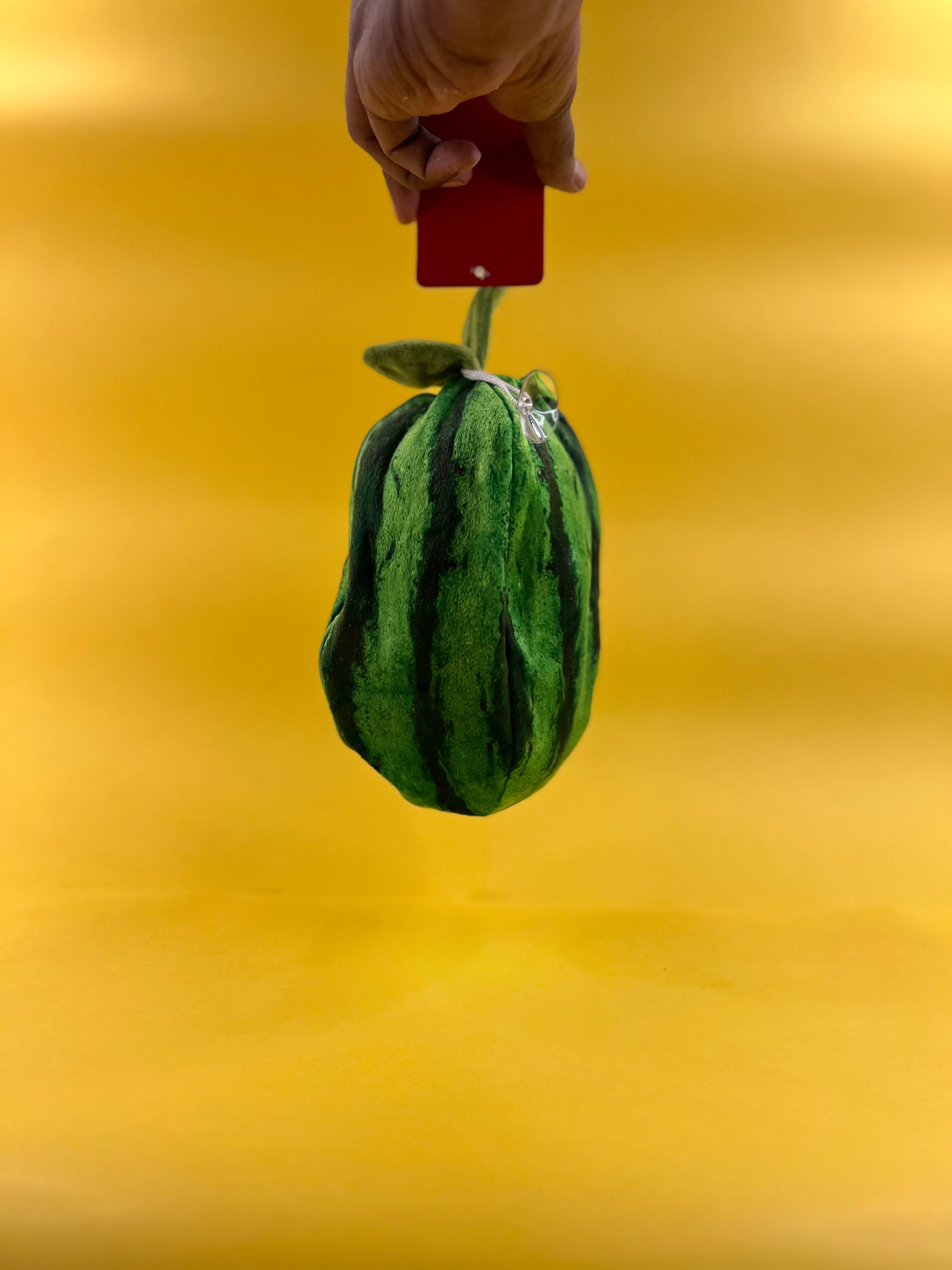 WATERMELON-POUCH-RBT