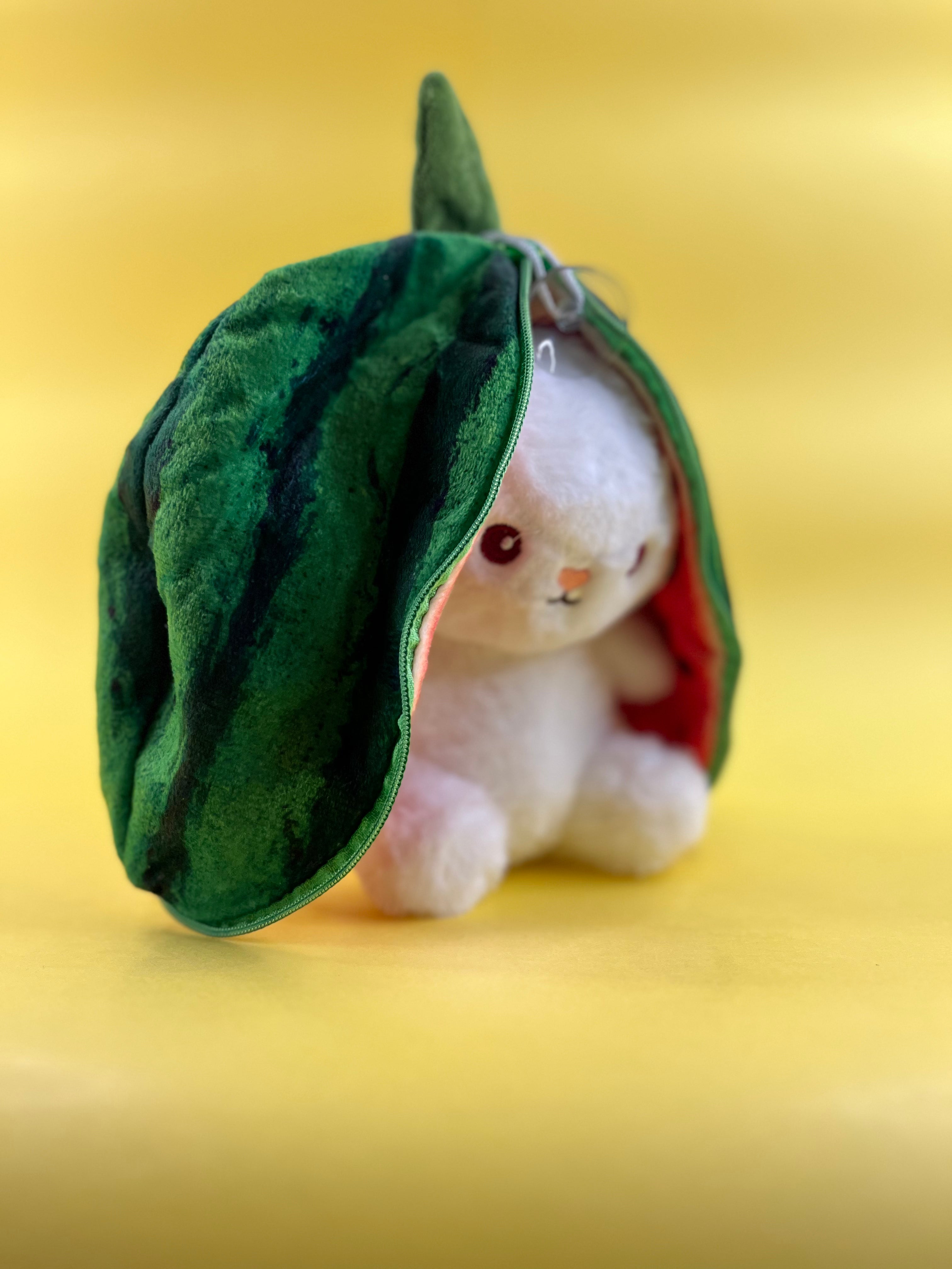 WATERMELON-POUCH-RBT