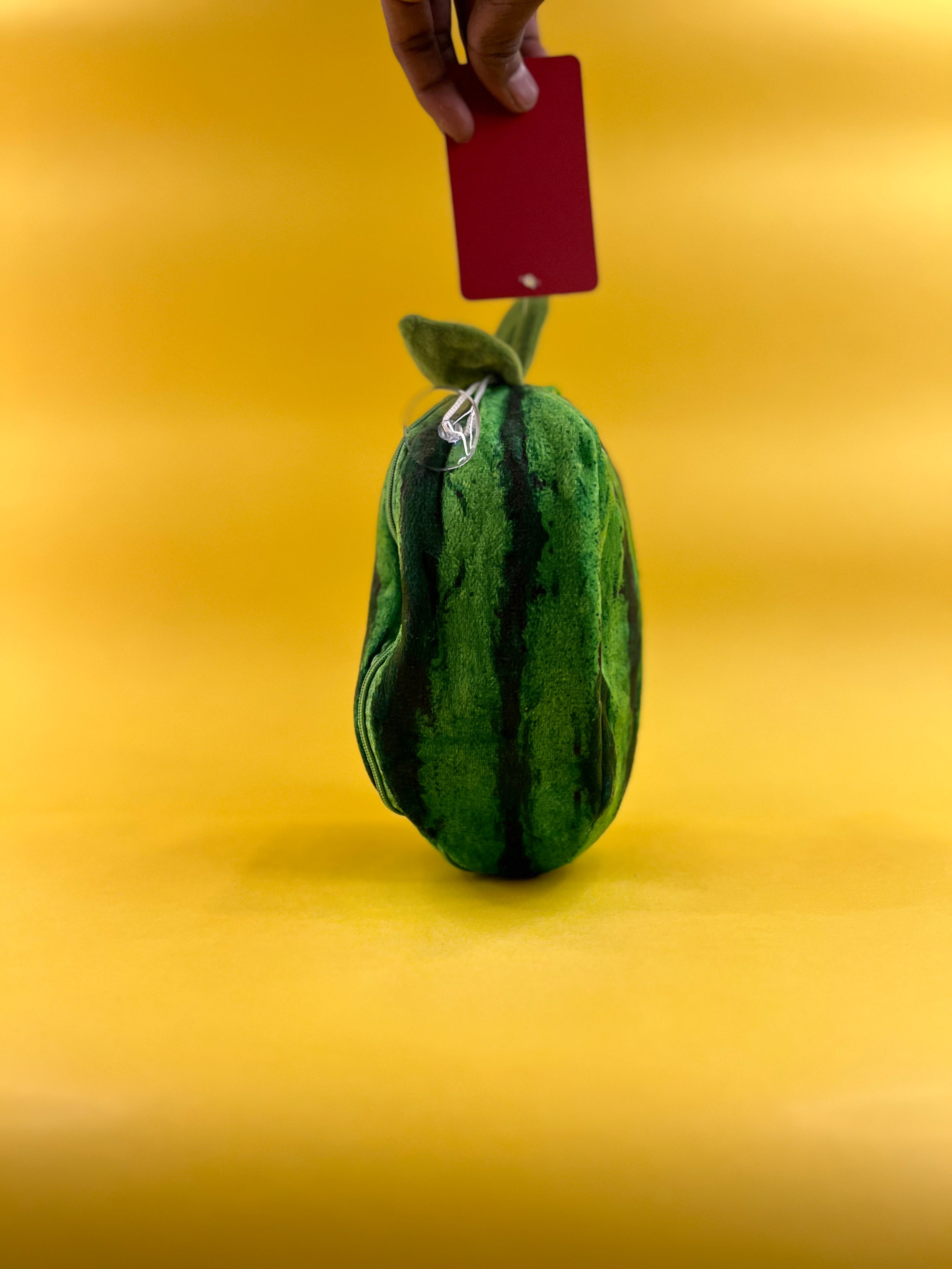 WATERMELON-POUCH-RBT