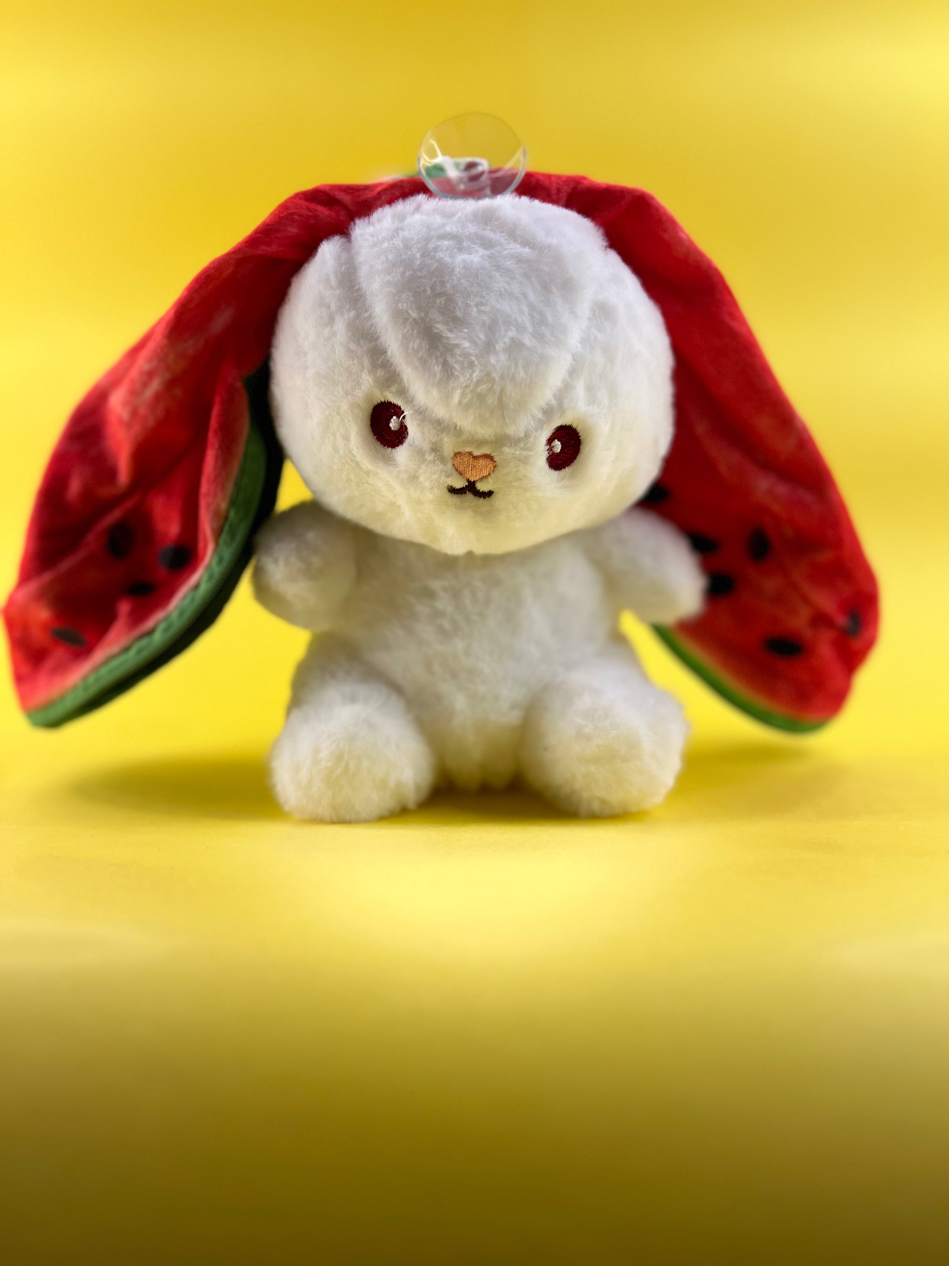 WATERMELON-POUCH-RBT