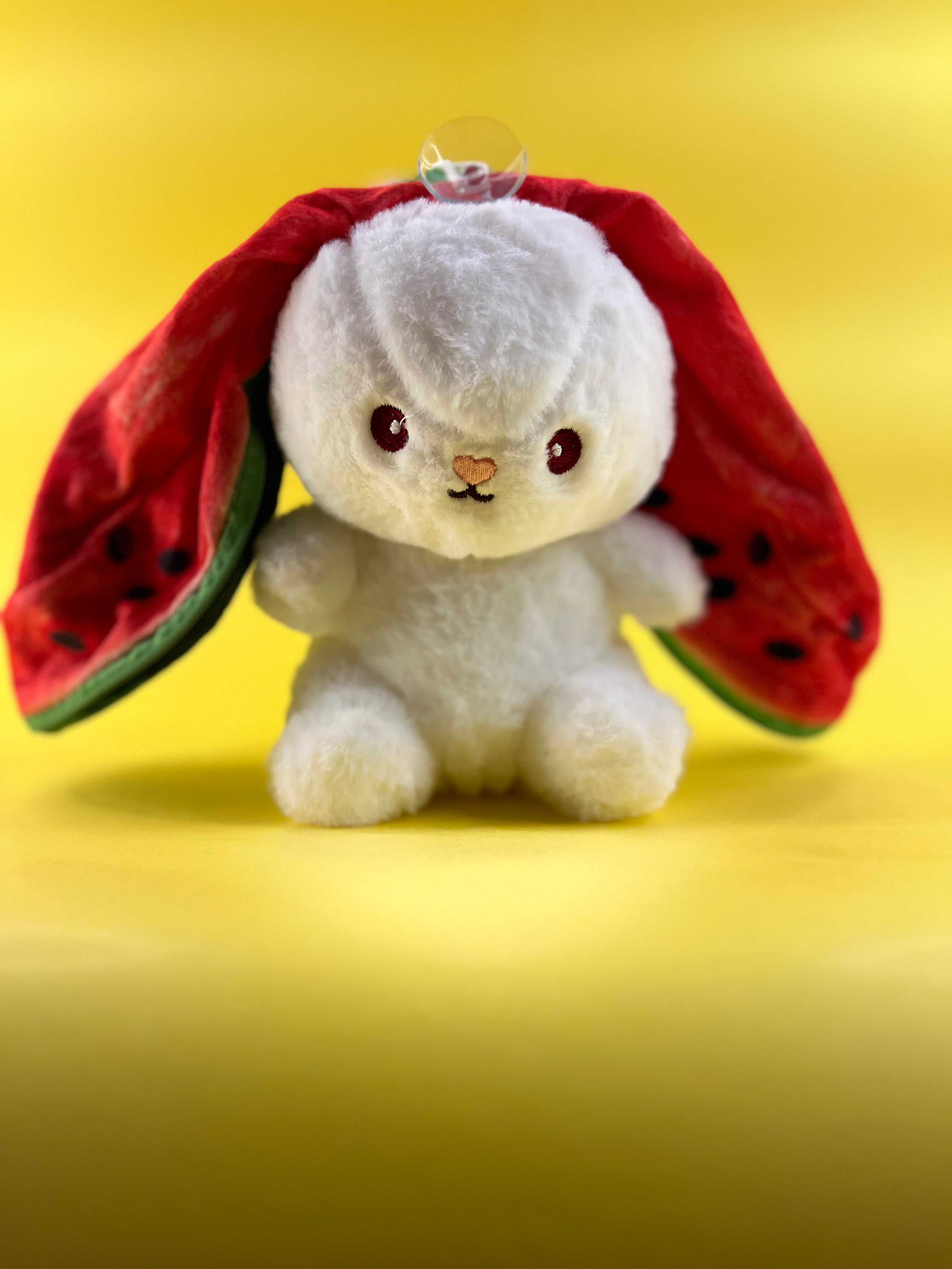 WATERMELON-POUCH-RBT