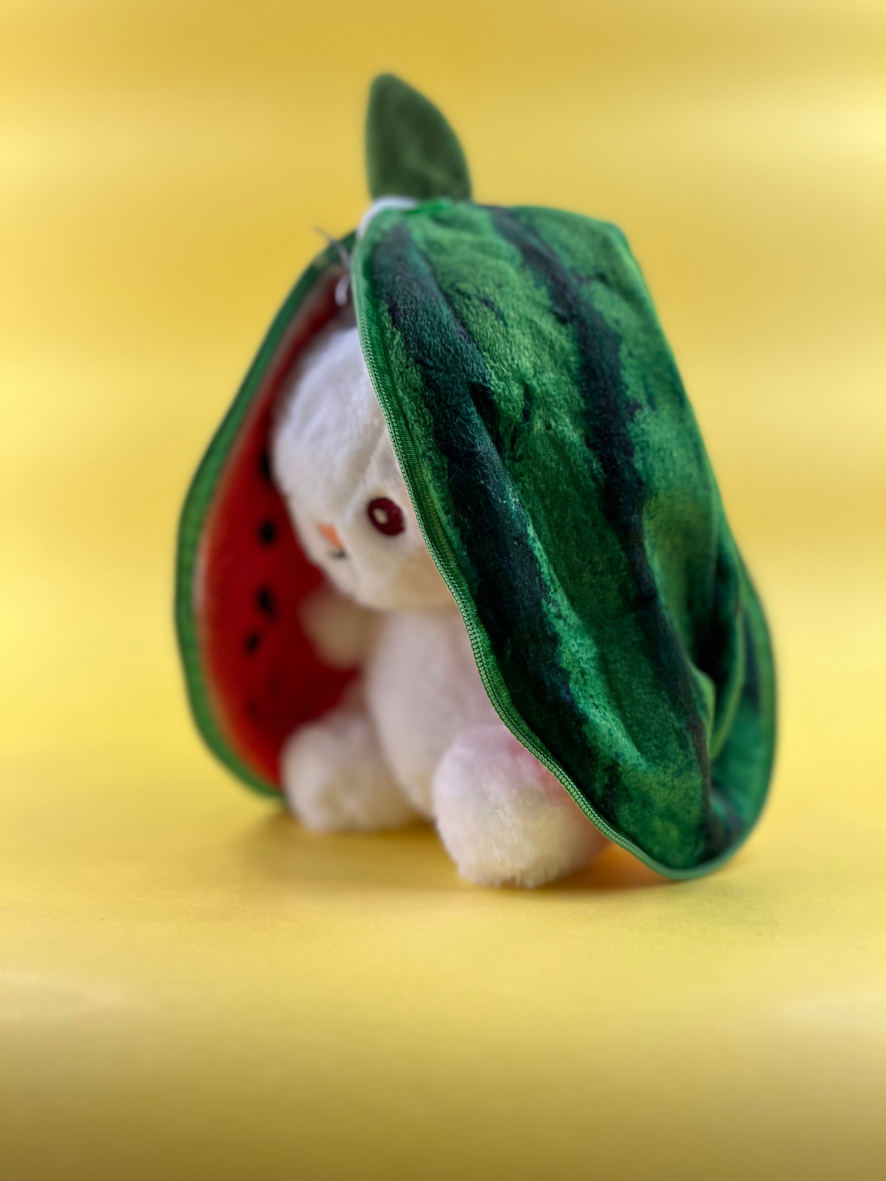 WATERMELON-POUCH-RBT