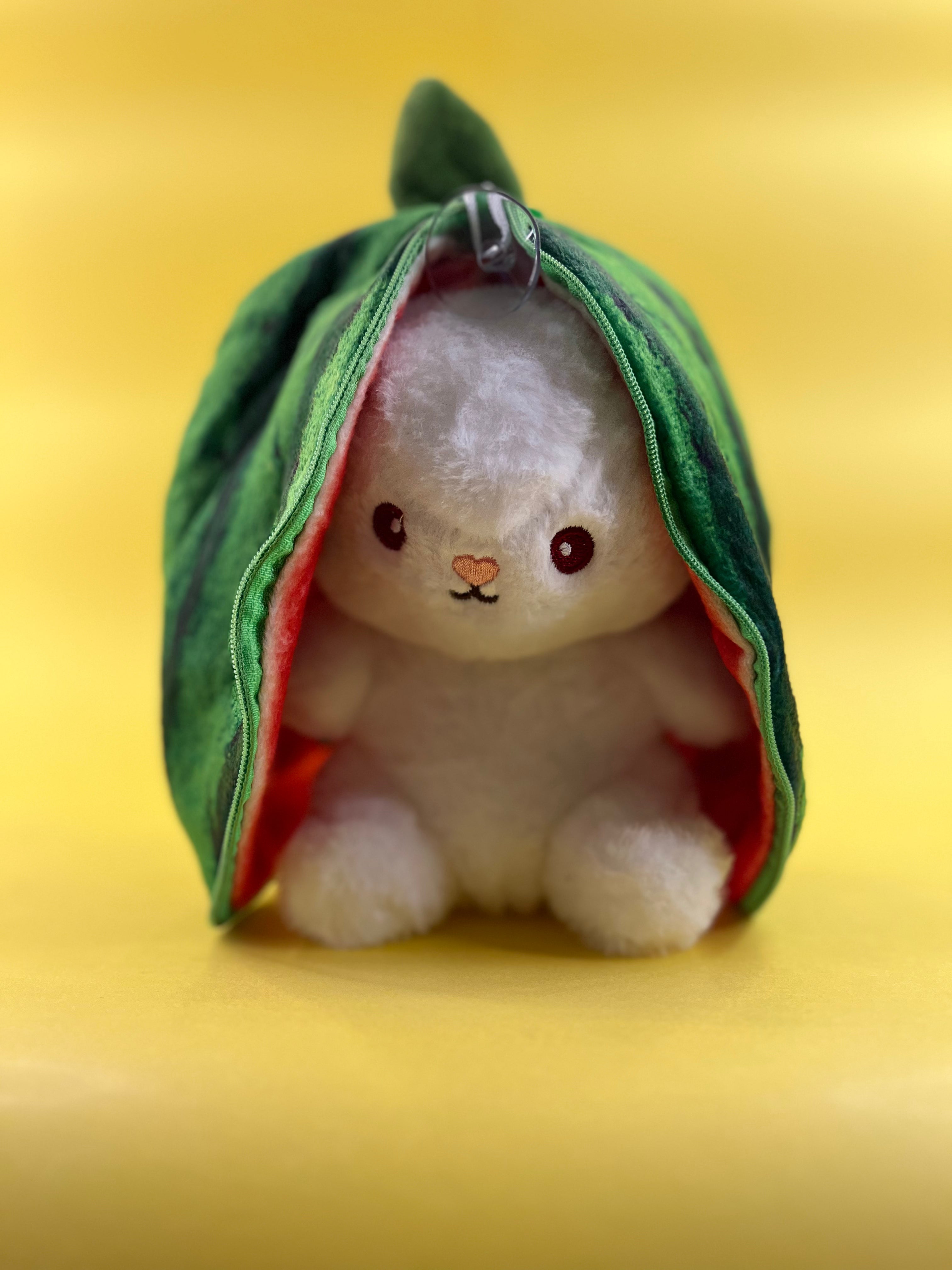 WATERMELON-POUCH-RBT